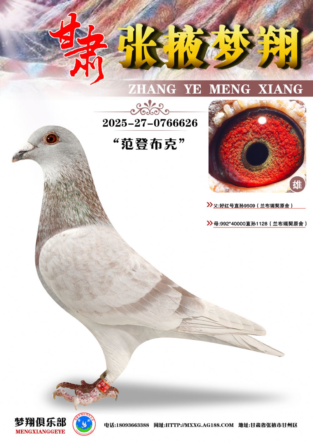 �ھ�����ú�626
