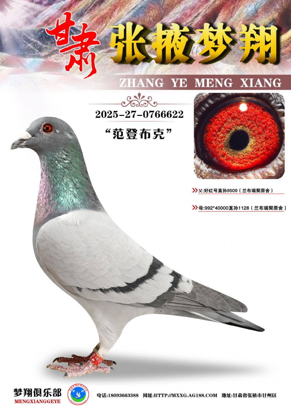 �ھ�����ú�622