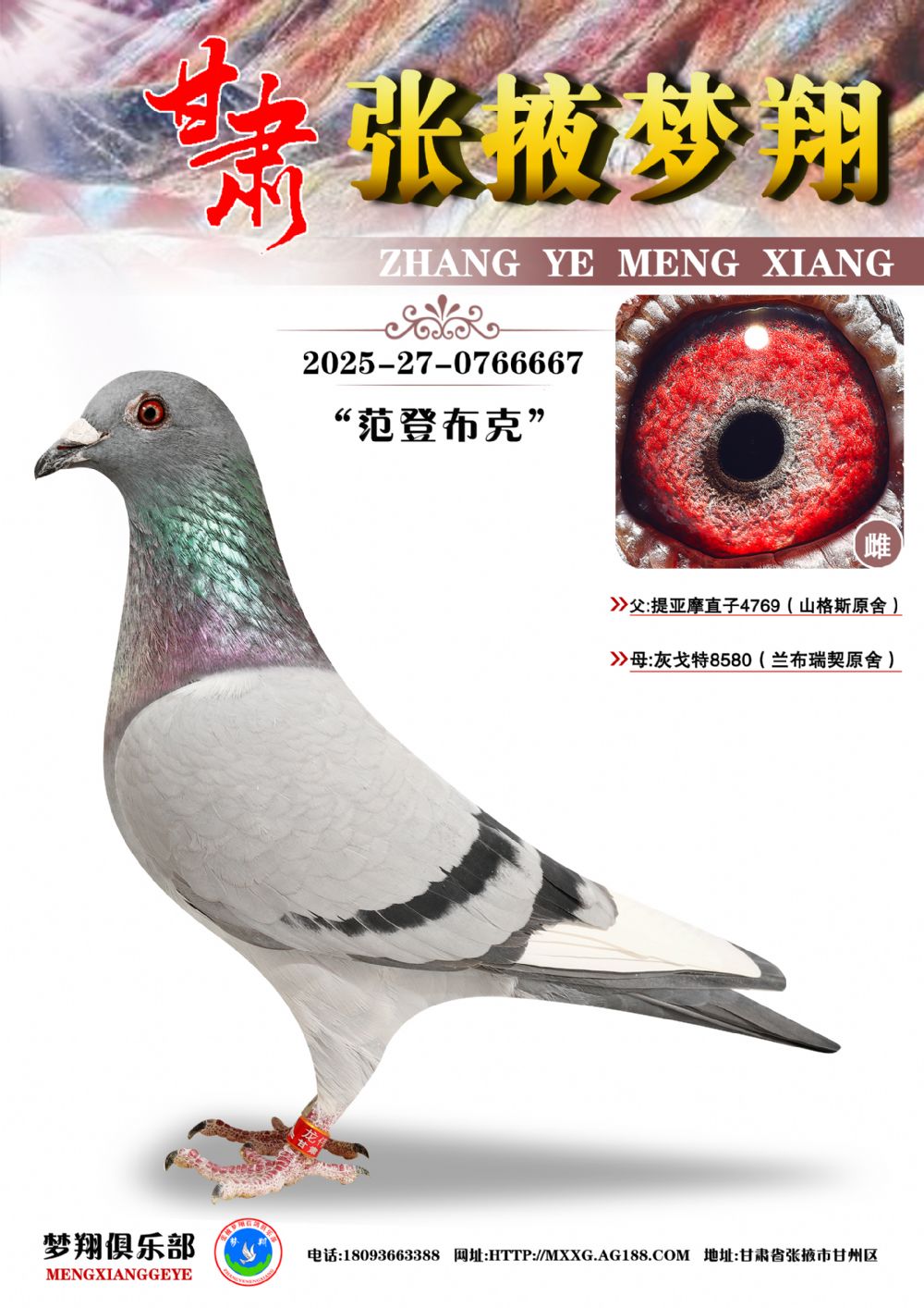 �ھ���������Ħ667