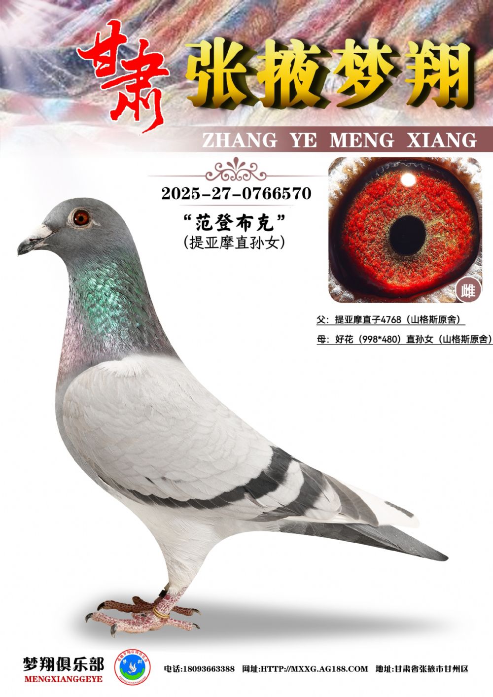 �ھ���������Ħ�û�570