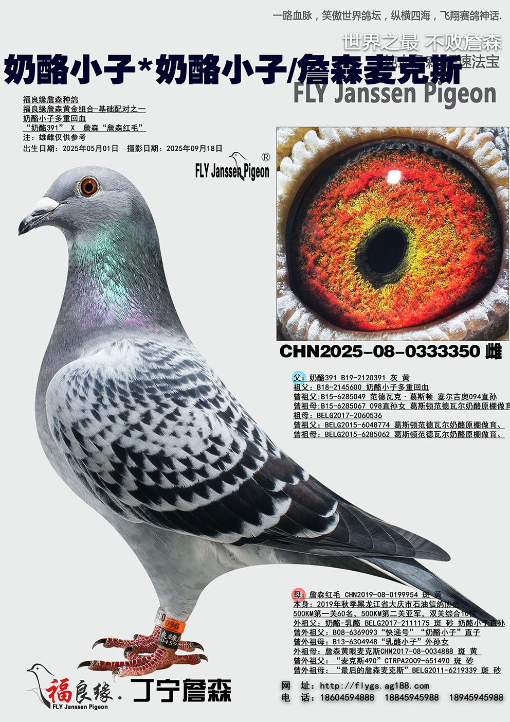 ����С��*����С��/ղɭ���˹