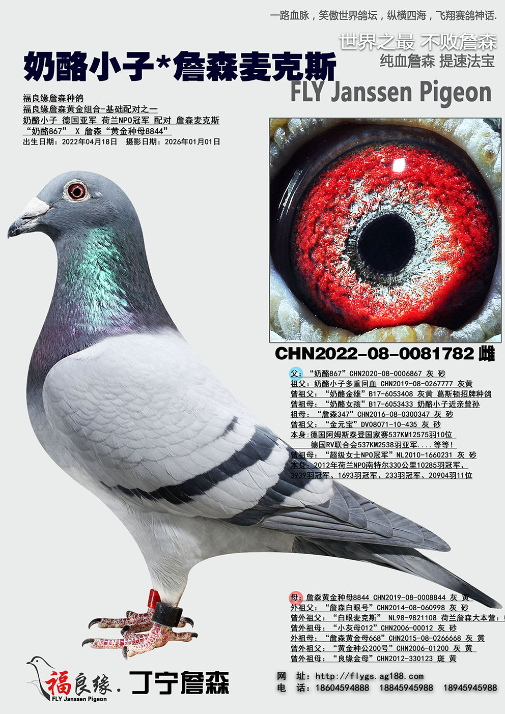 ����С��*ղɭ���˹