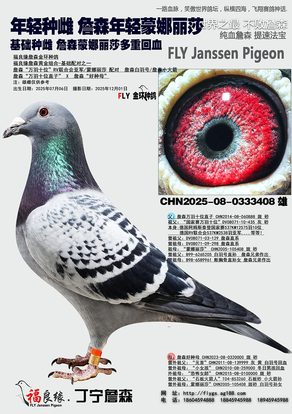 ղɭ����������ɯ