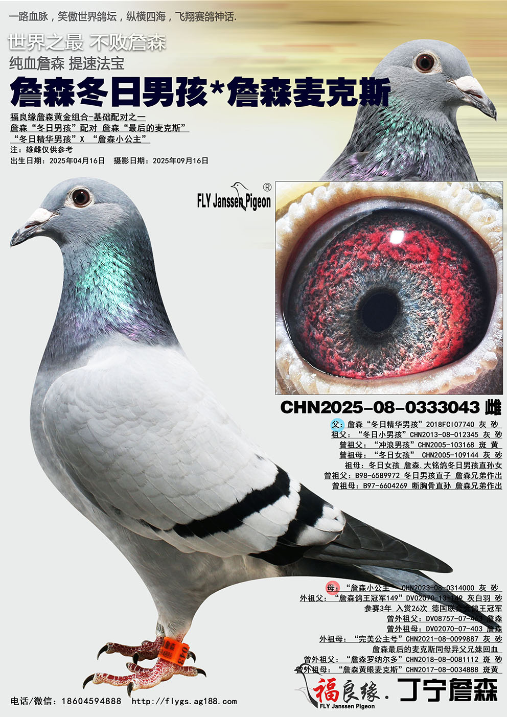 ղɭ�����к�*ղɭ���˹