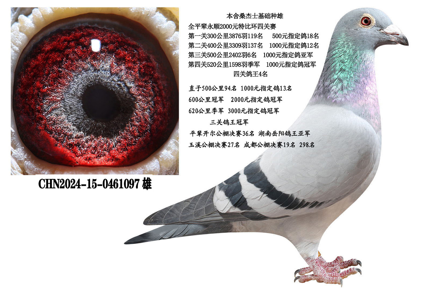 ɣ��ʿ������������097