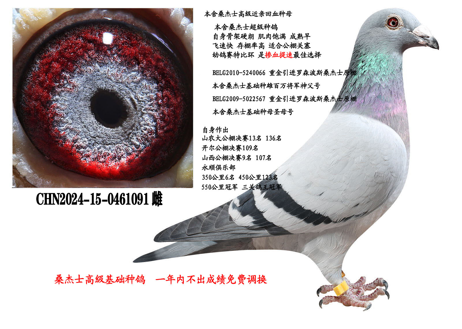 ɣ��ʿ���������ָ�091