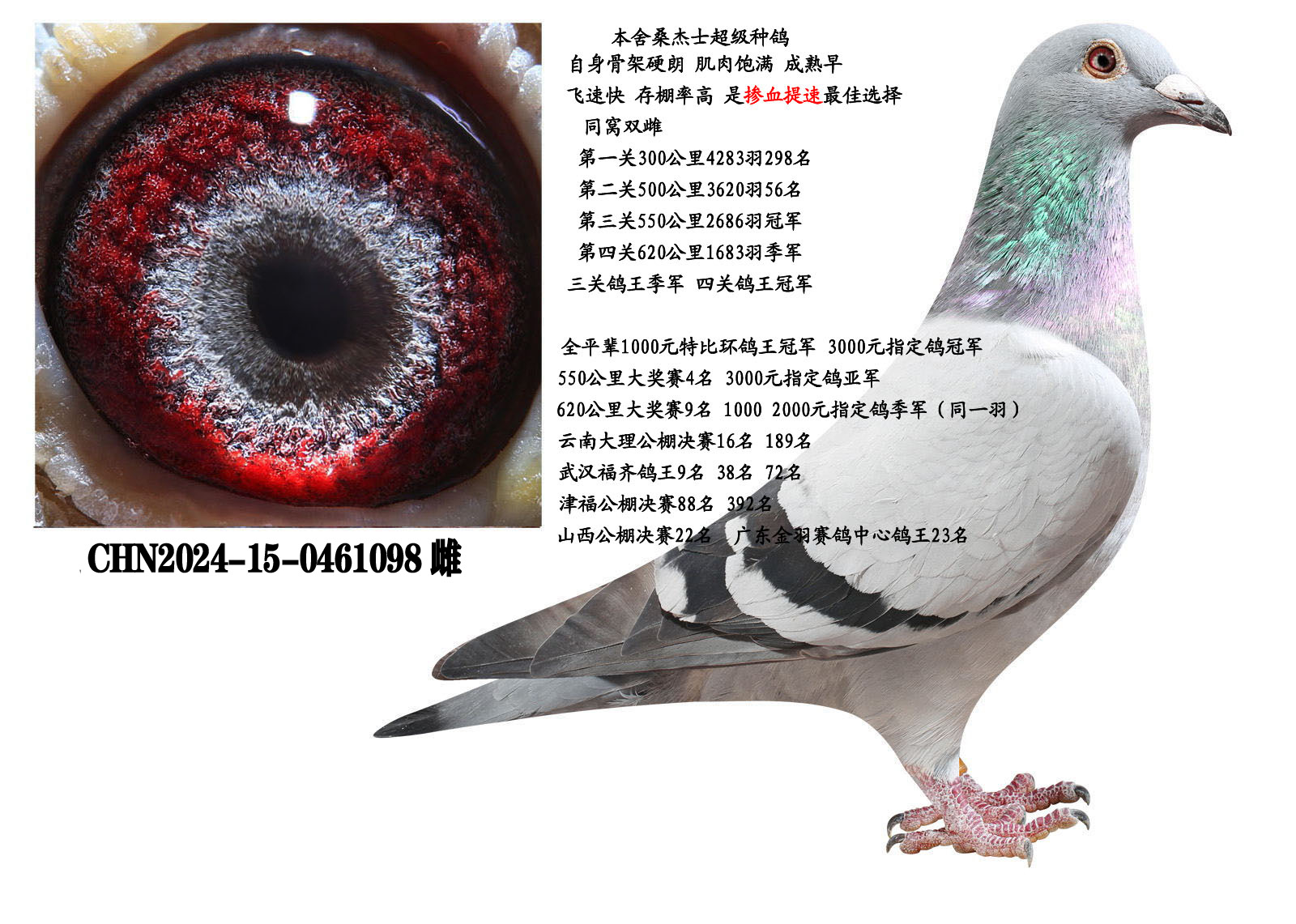 ɣ��ʿ������ĸ098