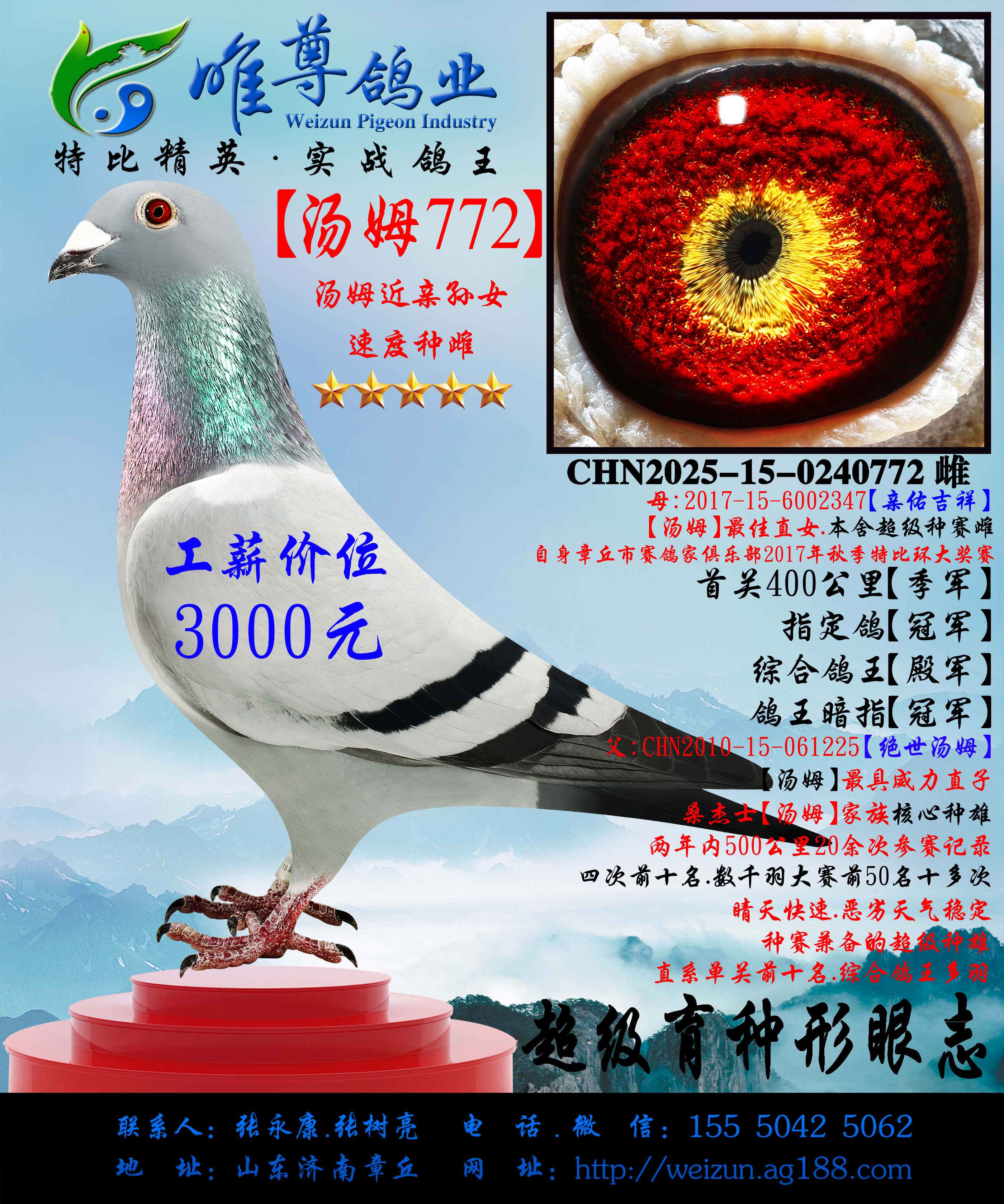 ����ķ772�����ý�������