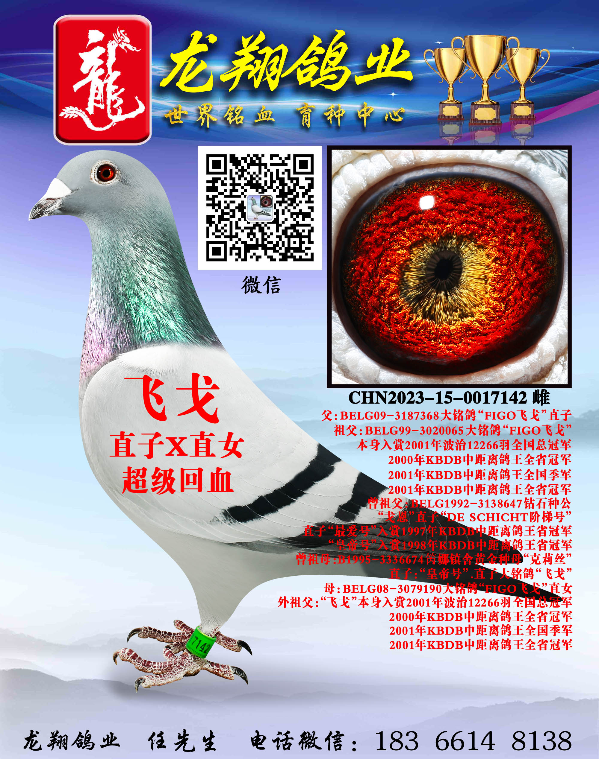 ���ɸꡱ������Ů����