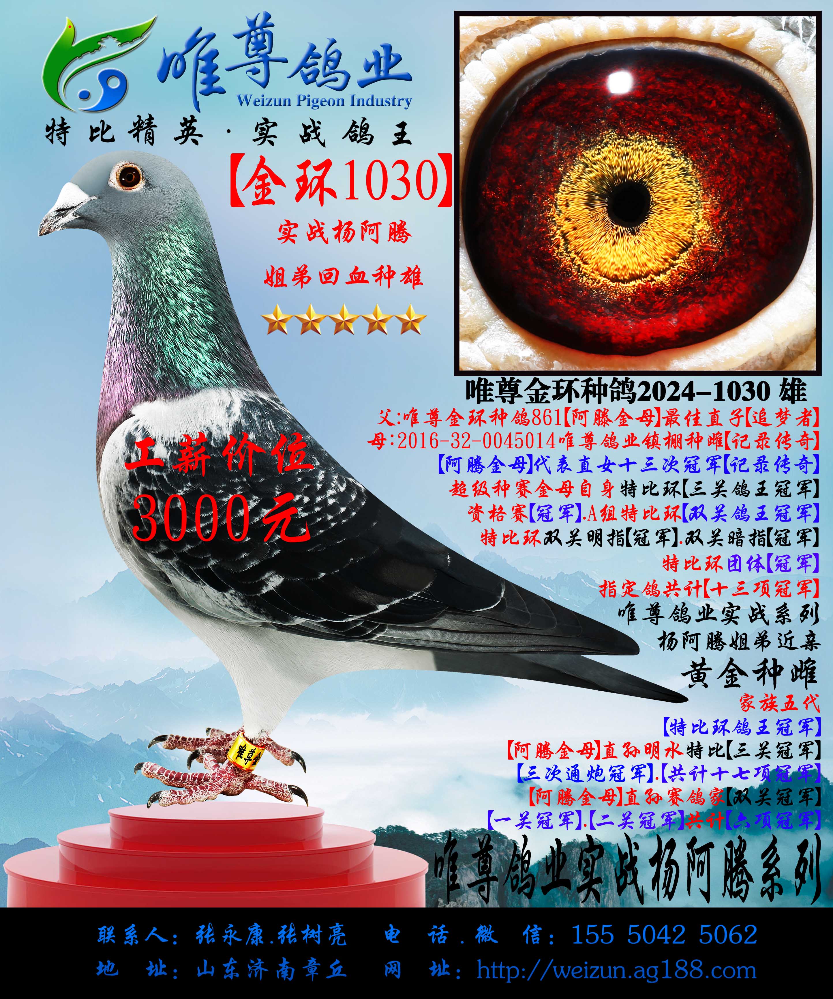 ����1030�����ʵսϵ��