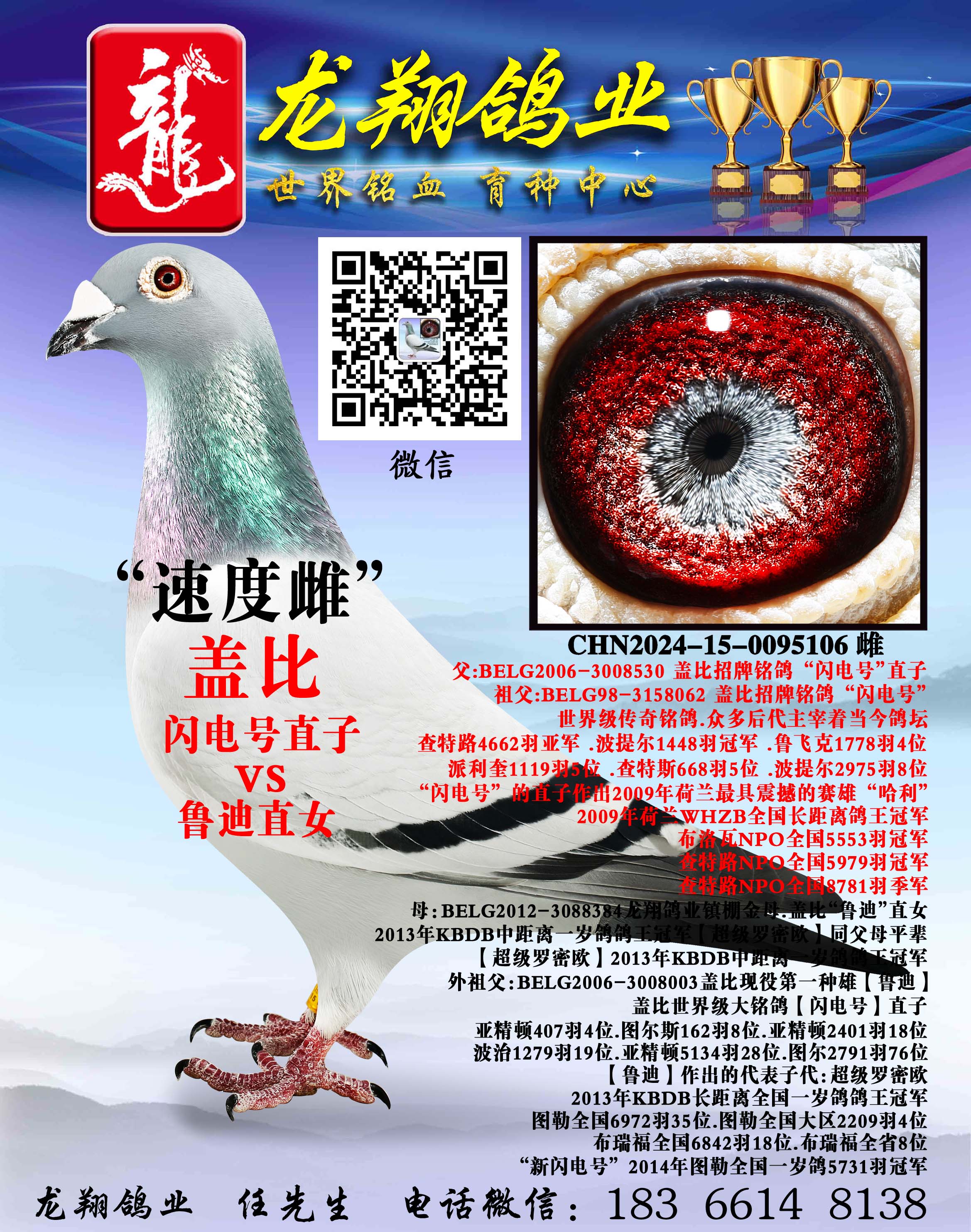 ���׸ǱȴƳ���