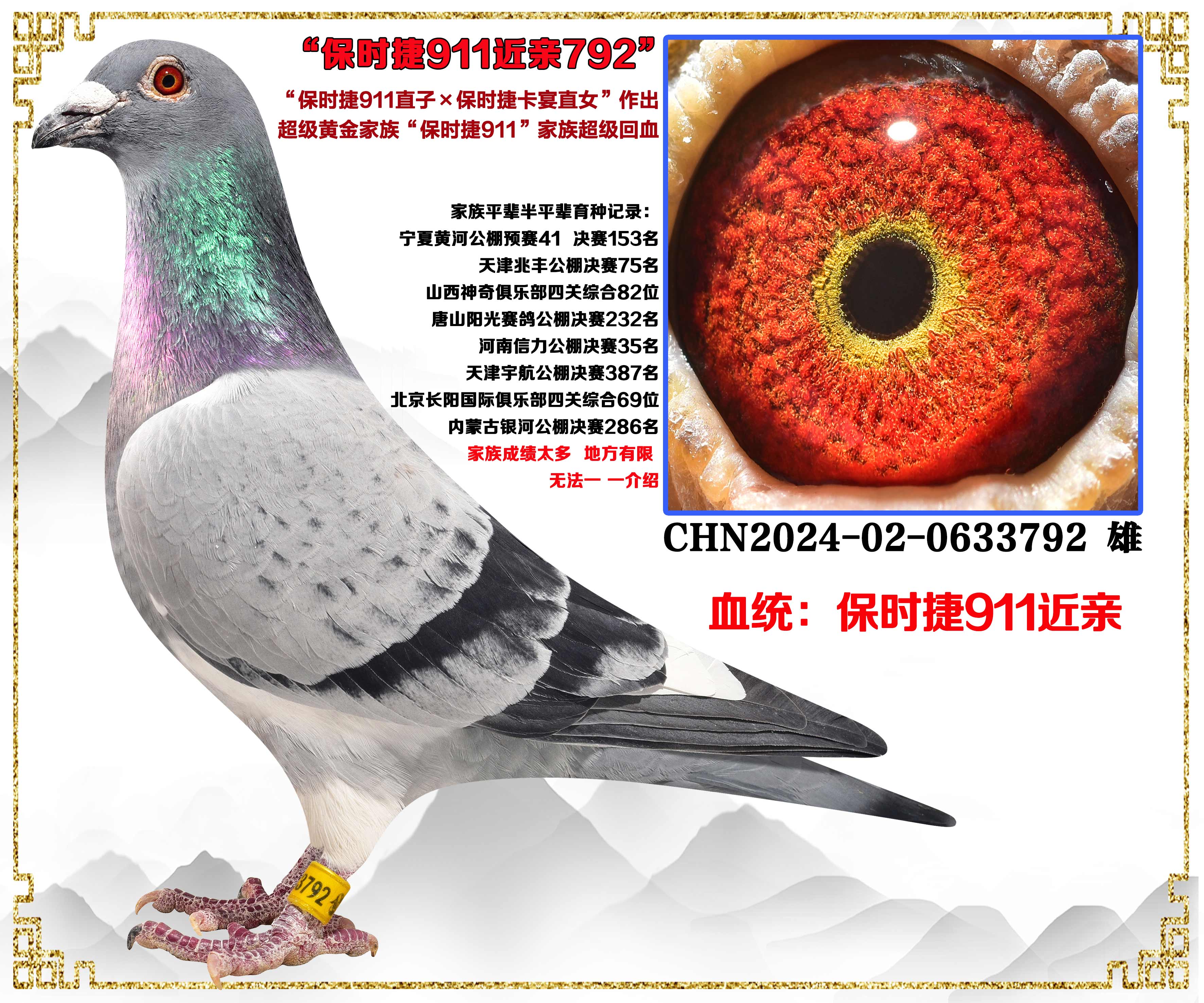 ���ڻ���������.....