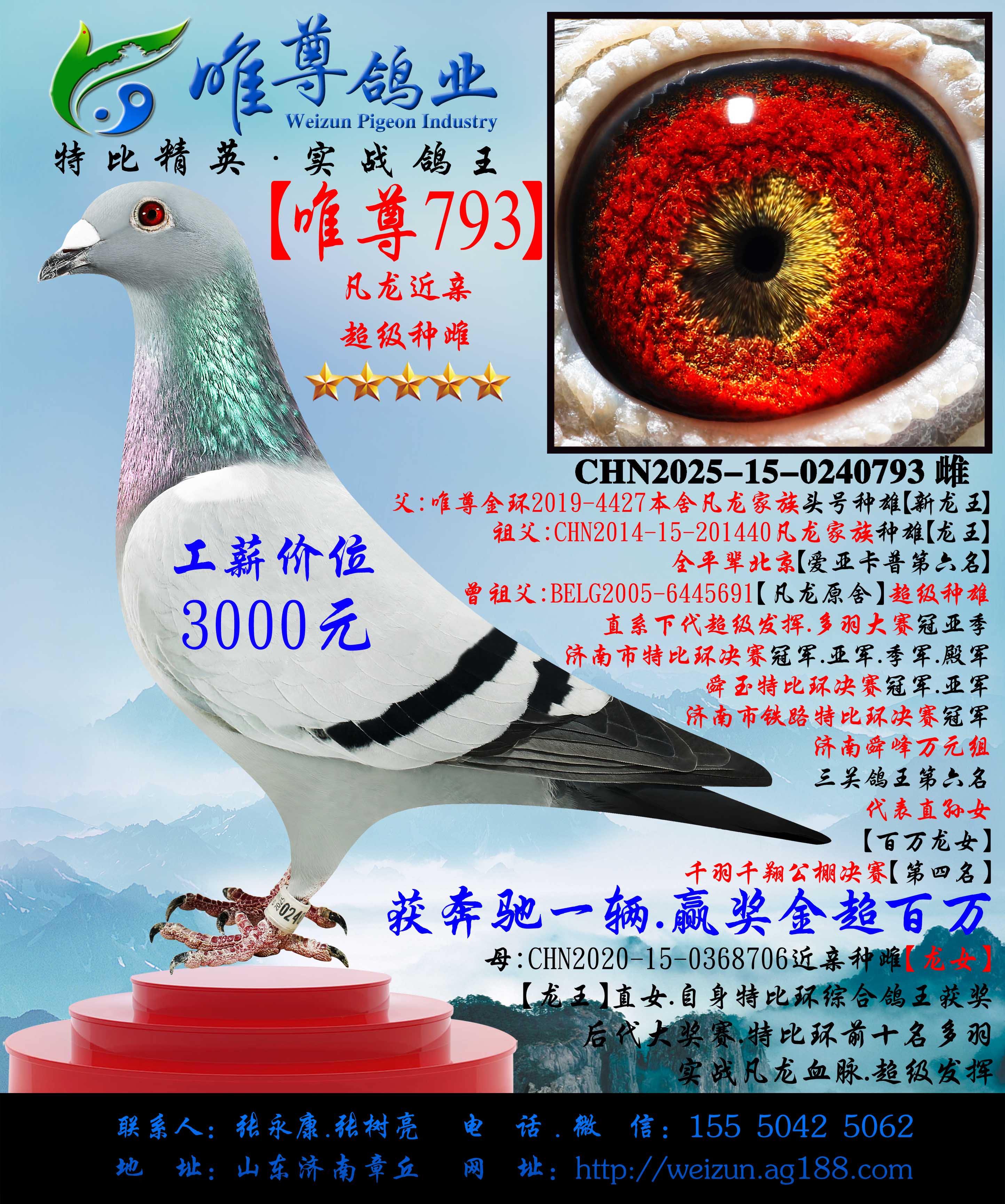 ��Ψ��793�����������ִ�