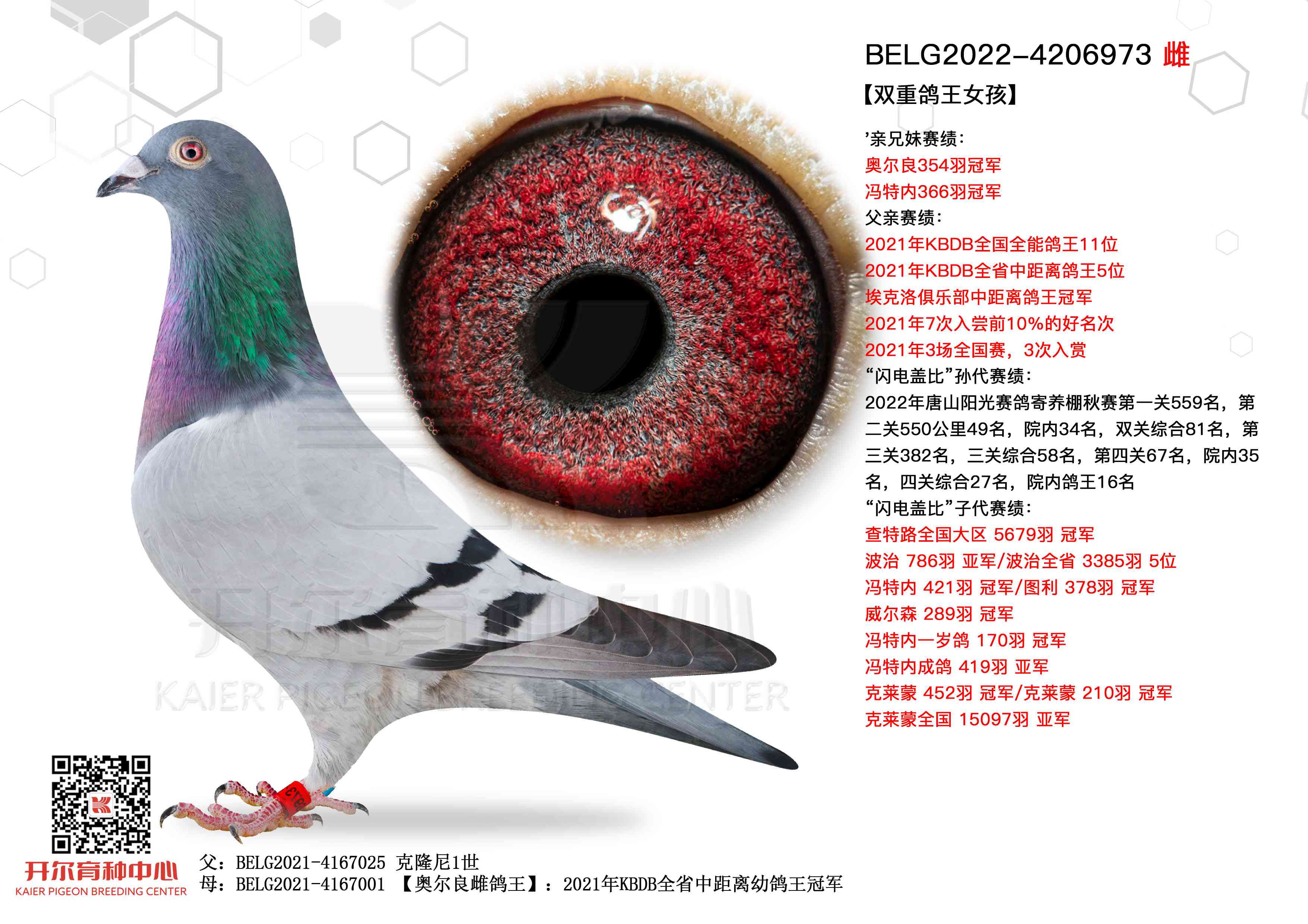 ˫�ظ���Ů��