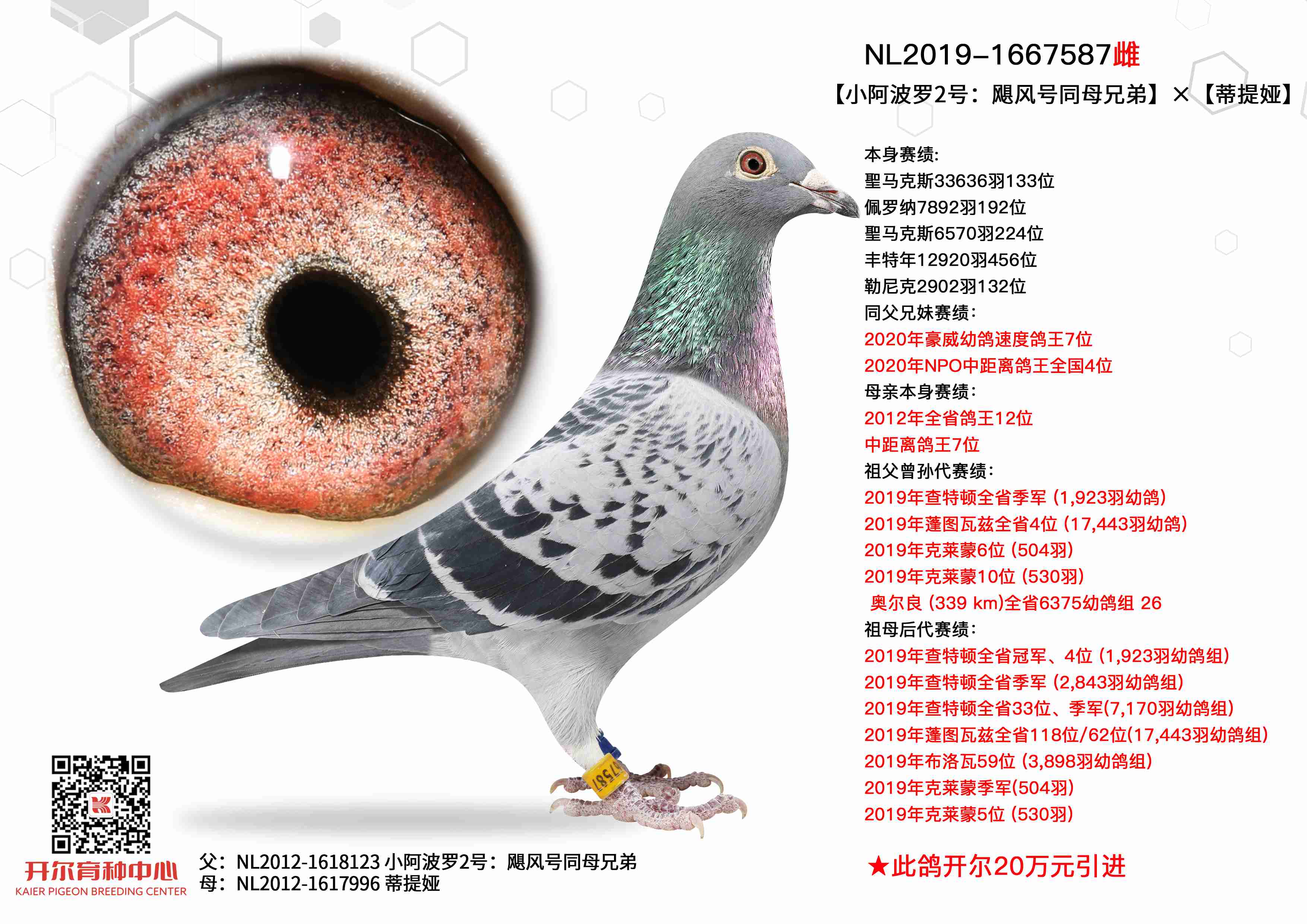 ��С������2�š�����櫡�����Ŭ������Ů