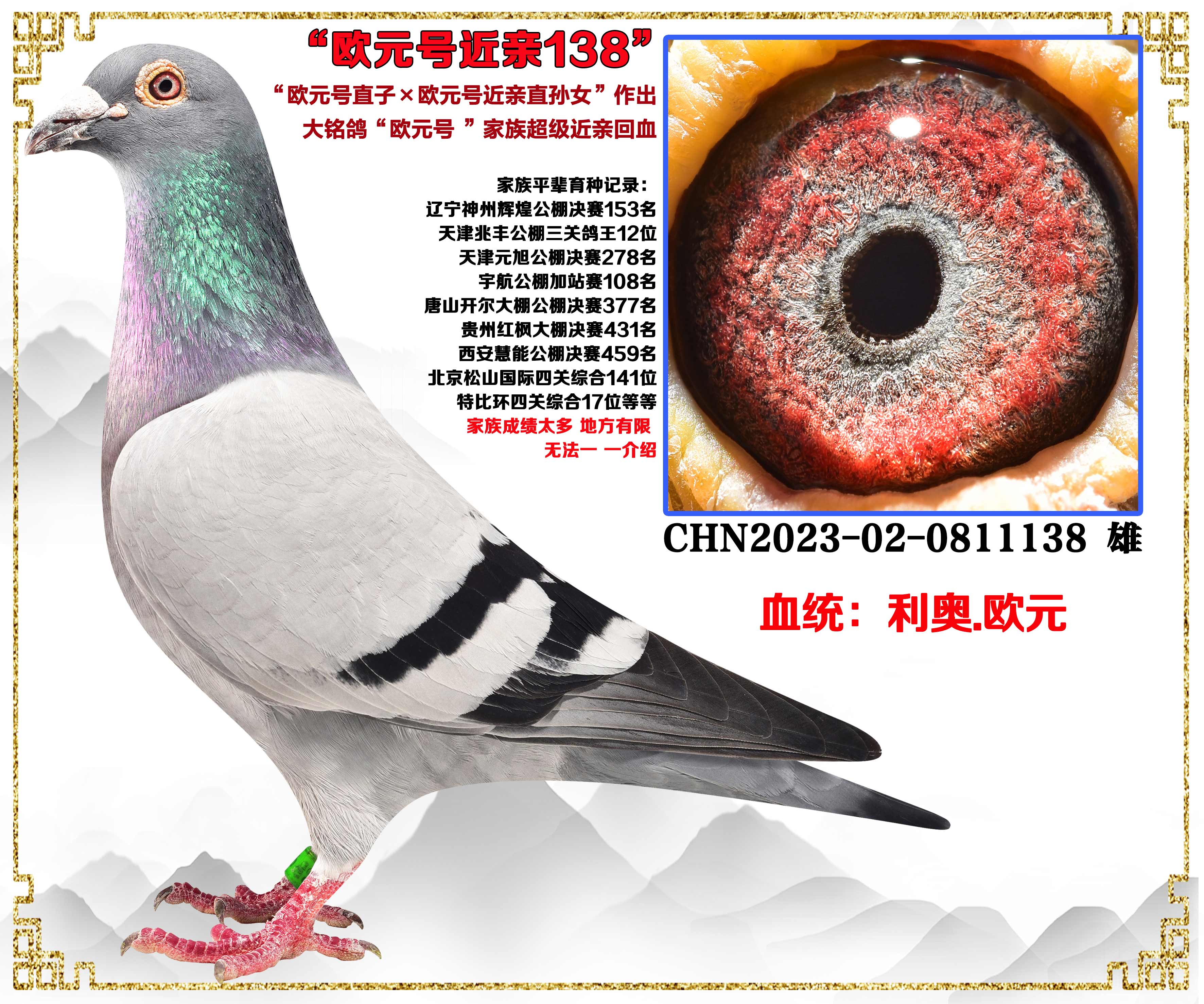 ���ڻ���������.....