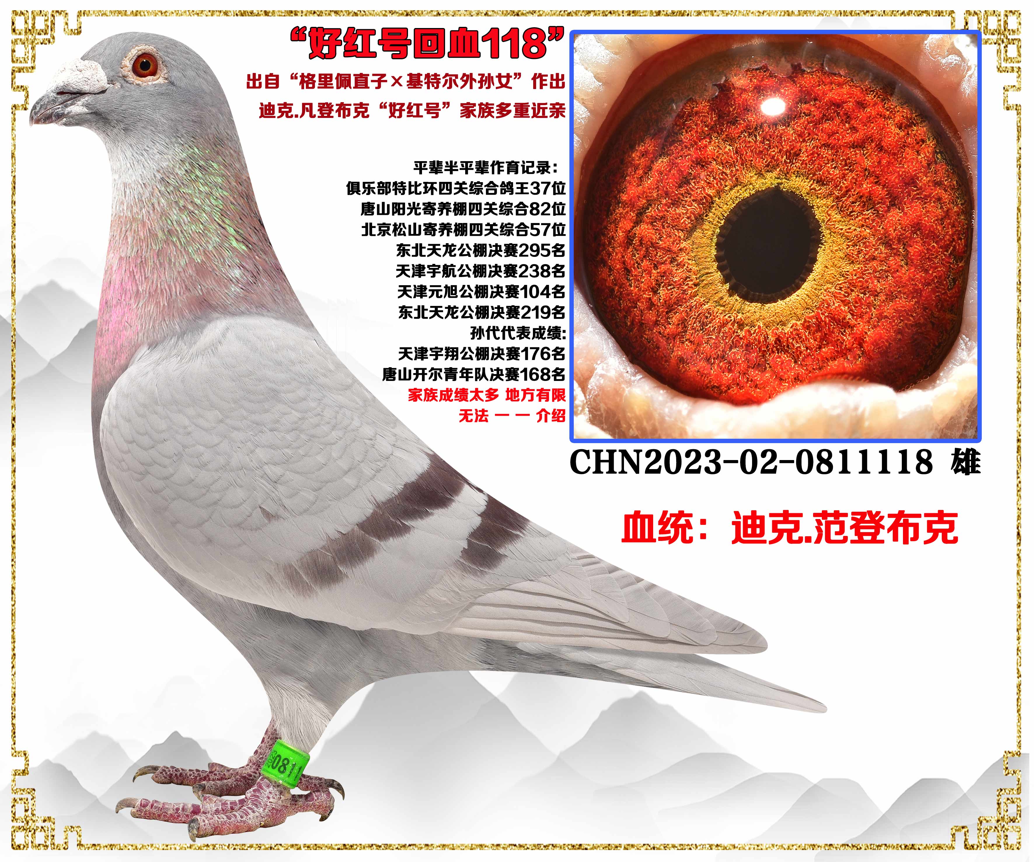 ���ڻ���������.....