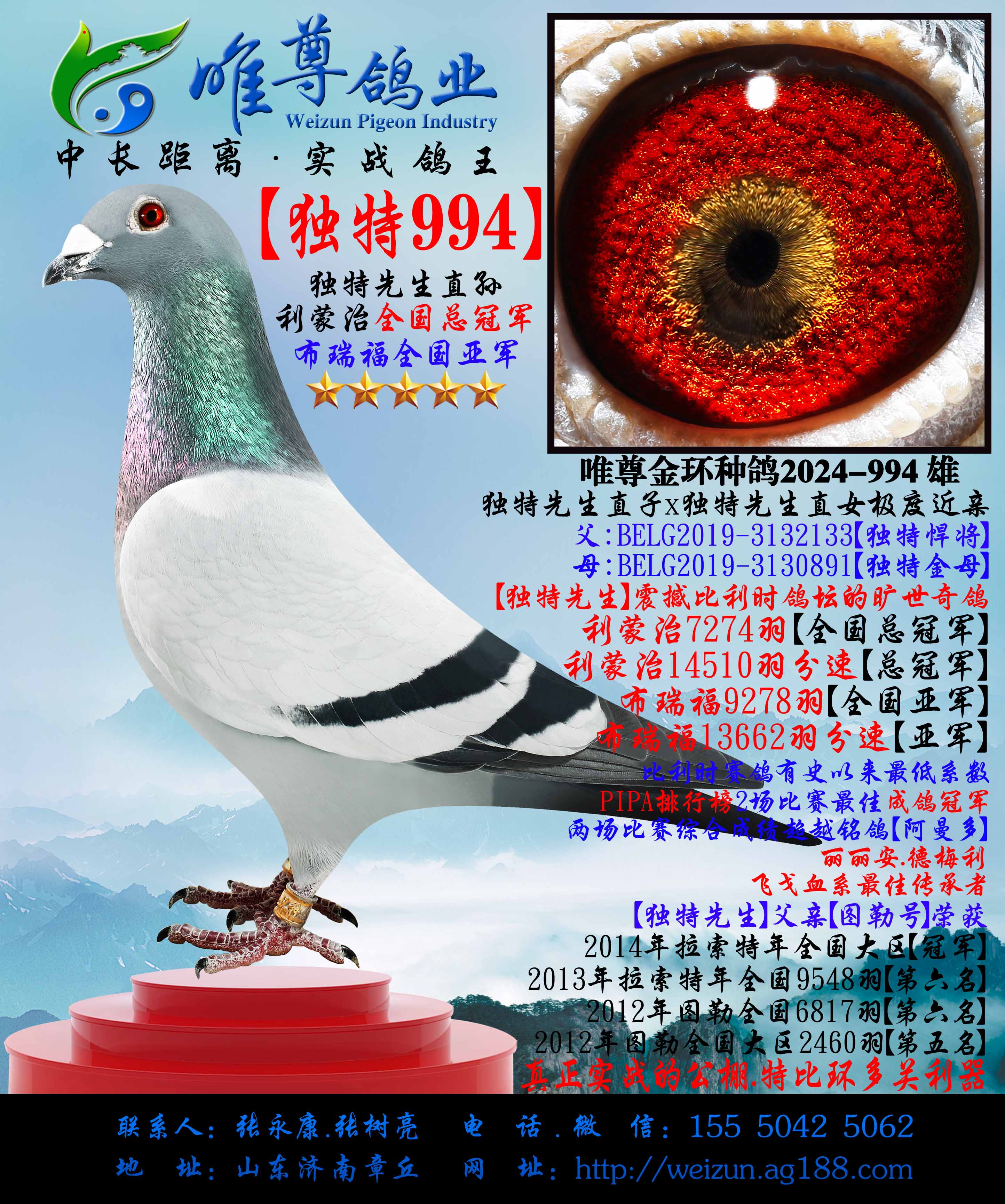 ������994������������������ֱ��