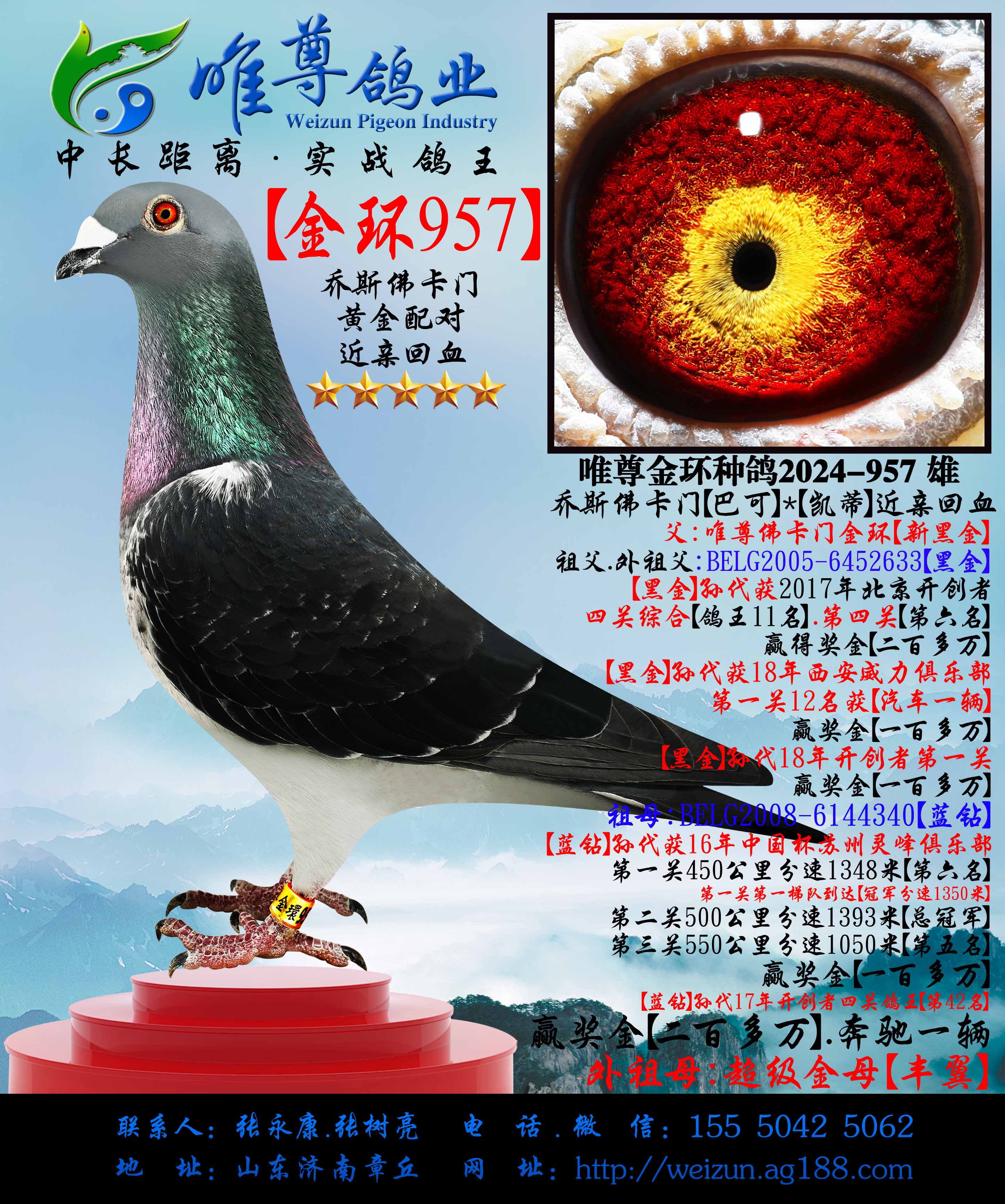 ����˹���š���957