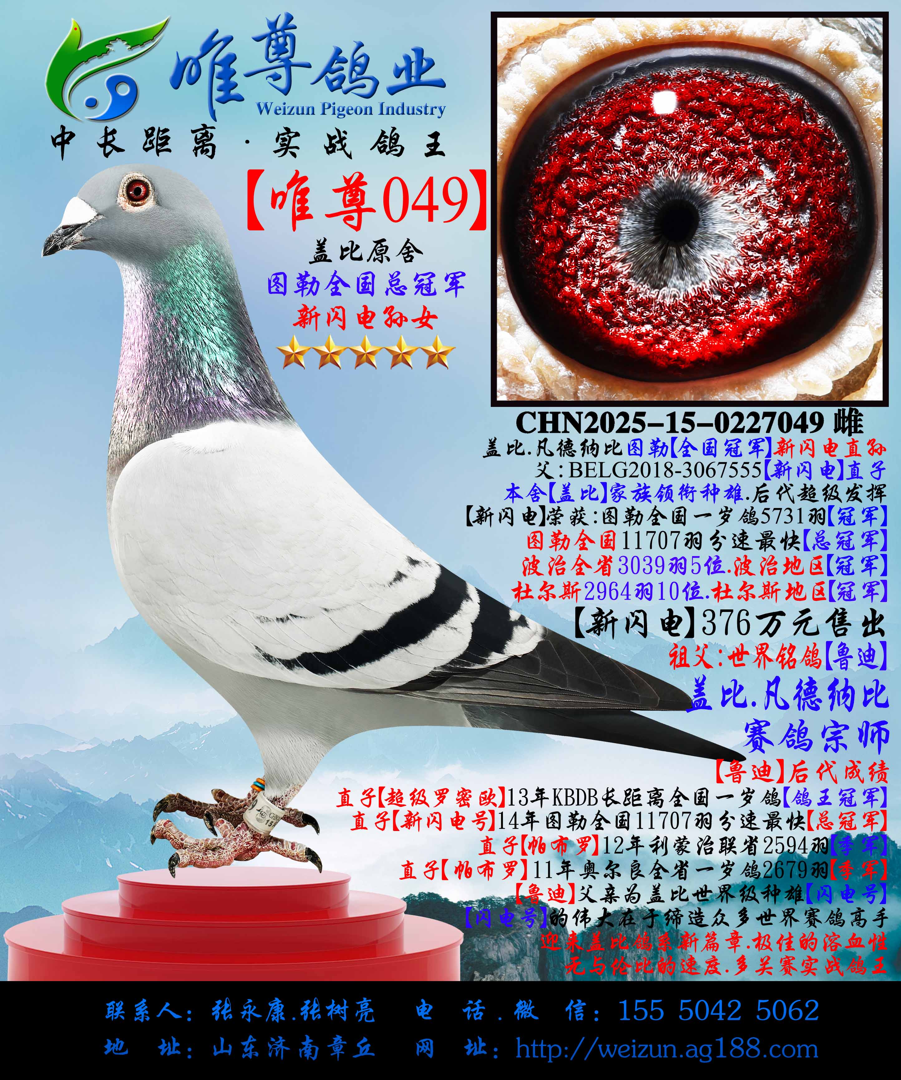 ��������049��