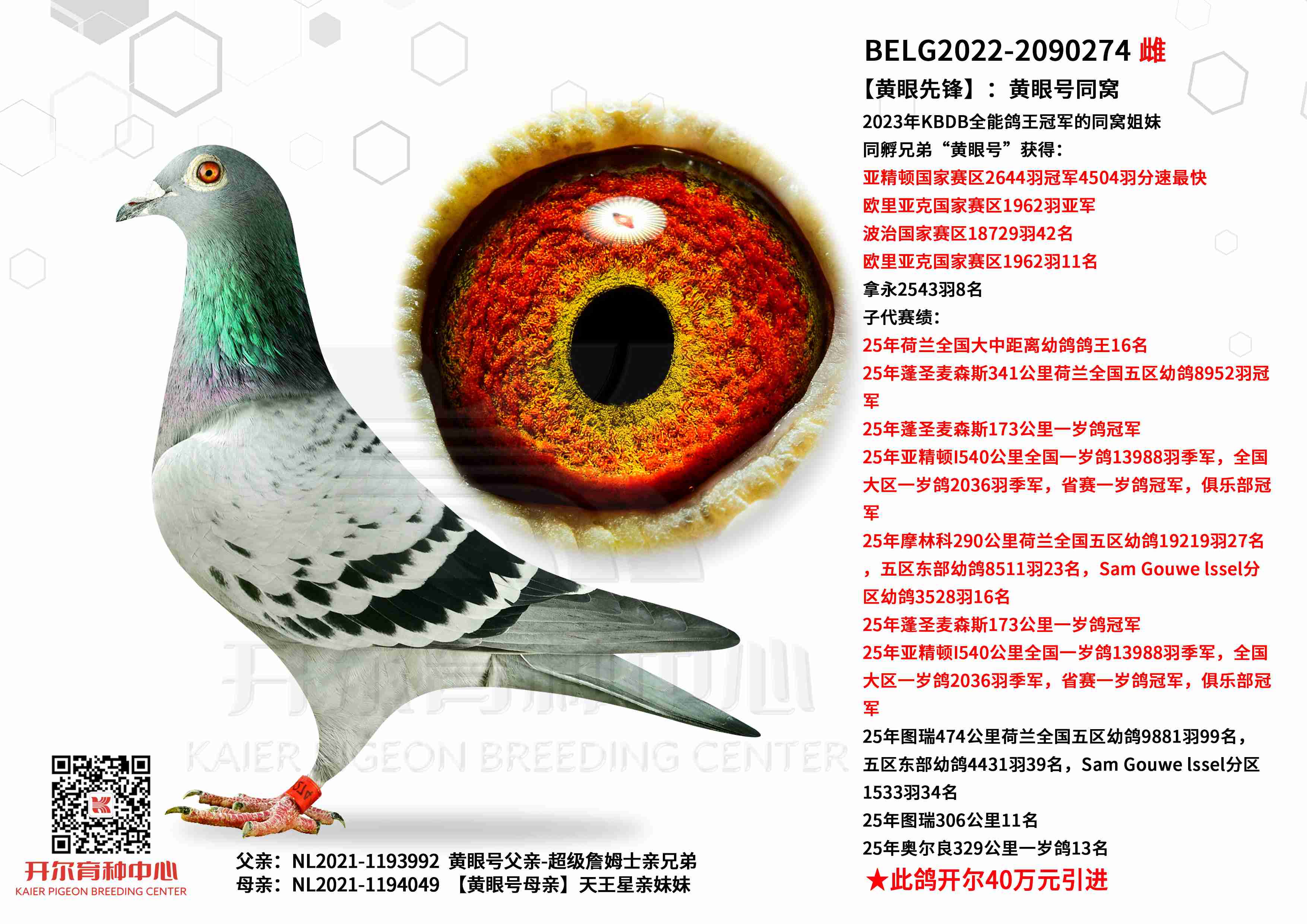 �������ȷ桿�����ۺ�ͬ��