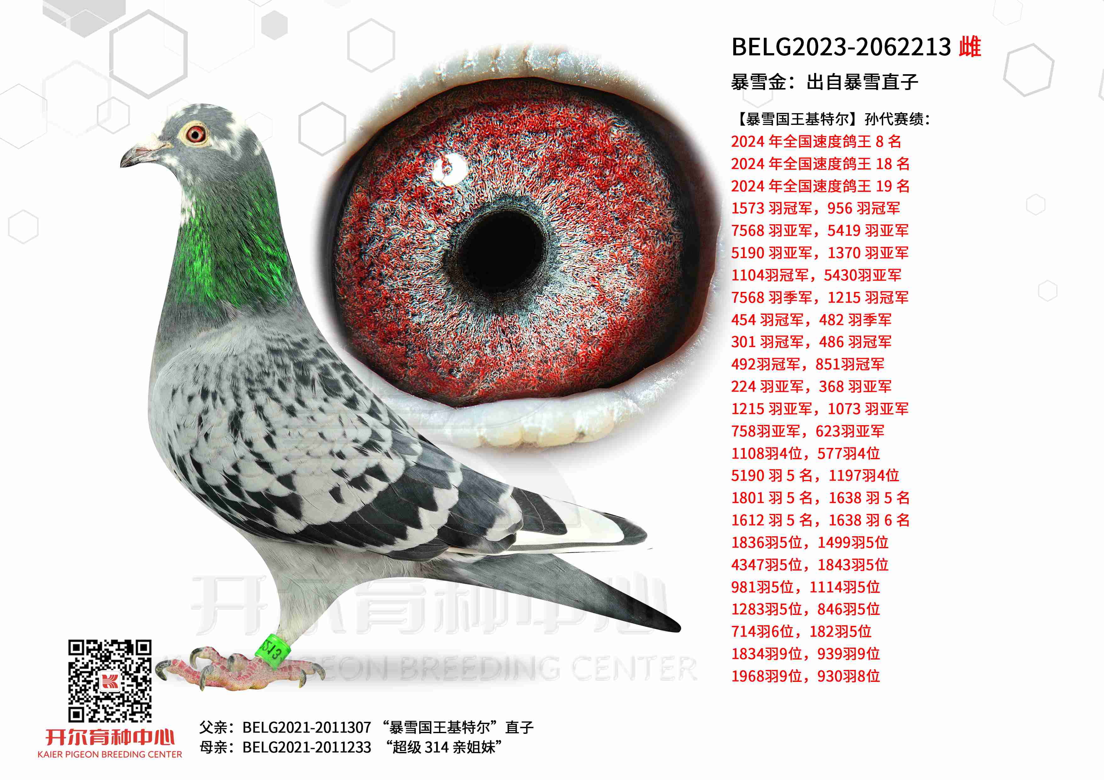 ��ѩ�𣺳��Ա�ѩֱ��