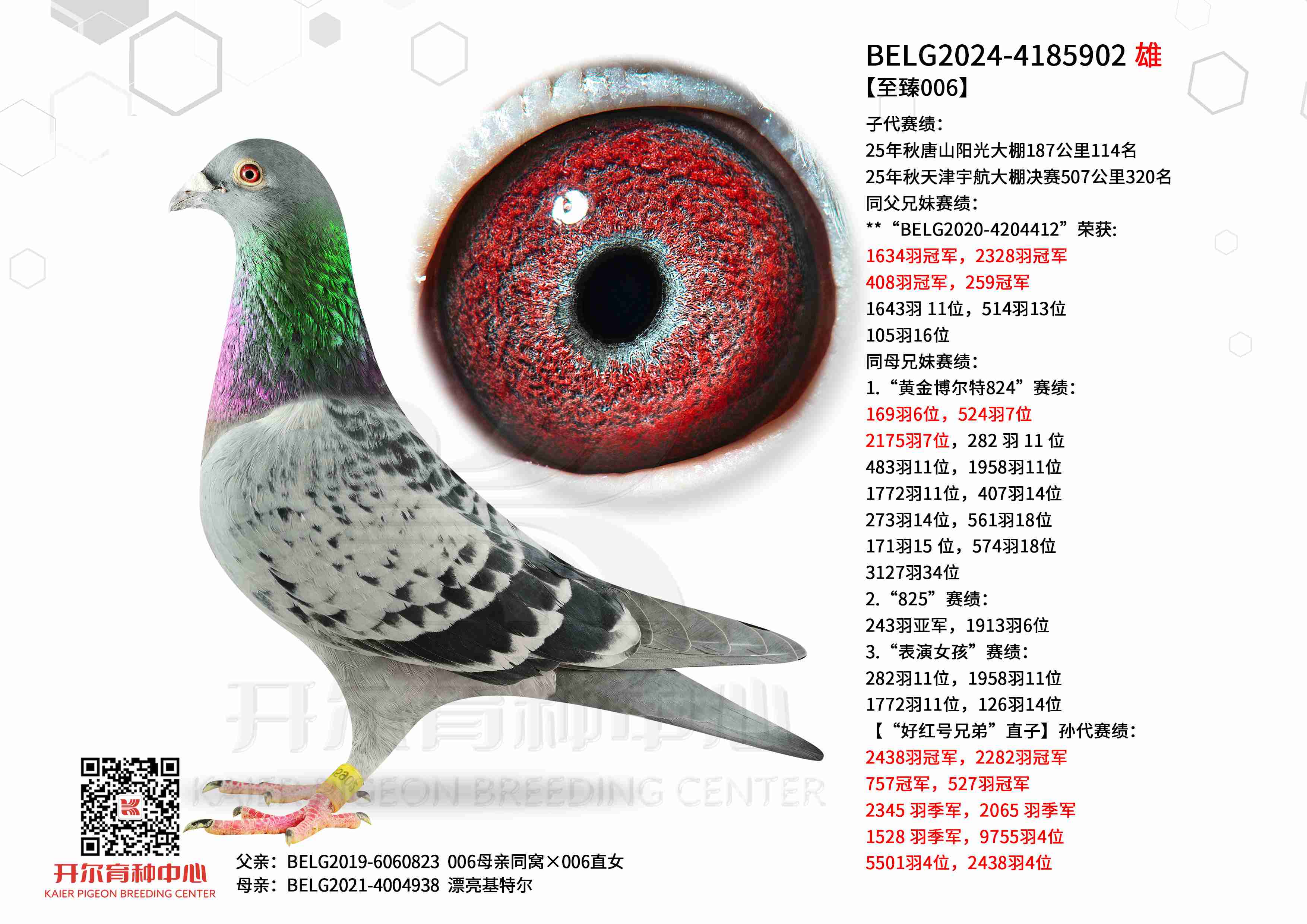 ������006��