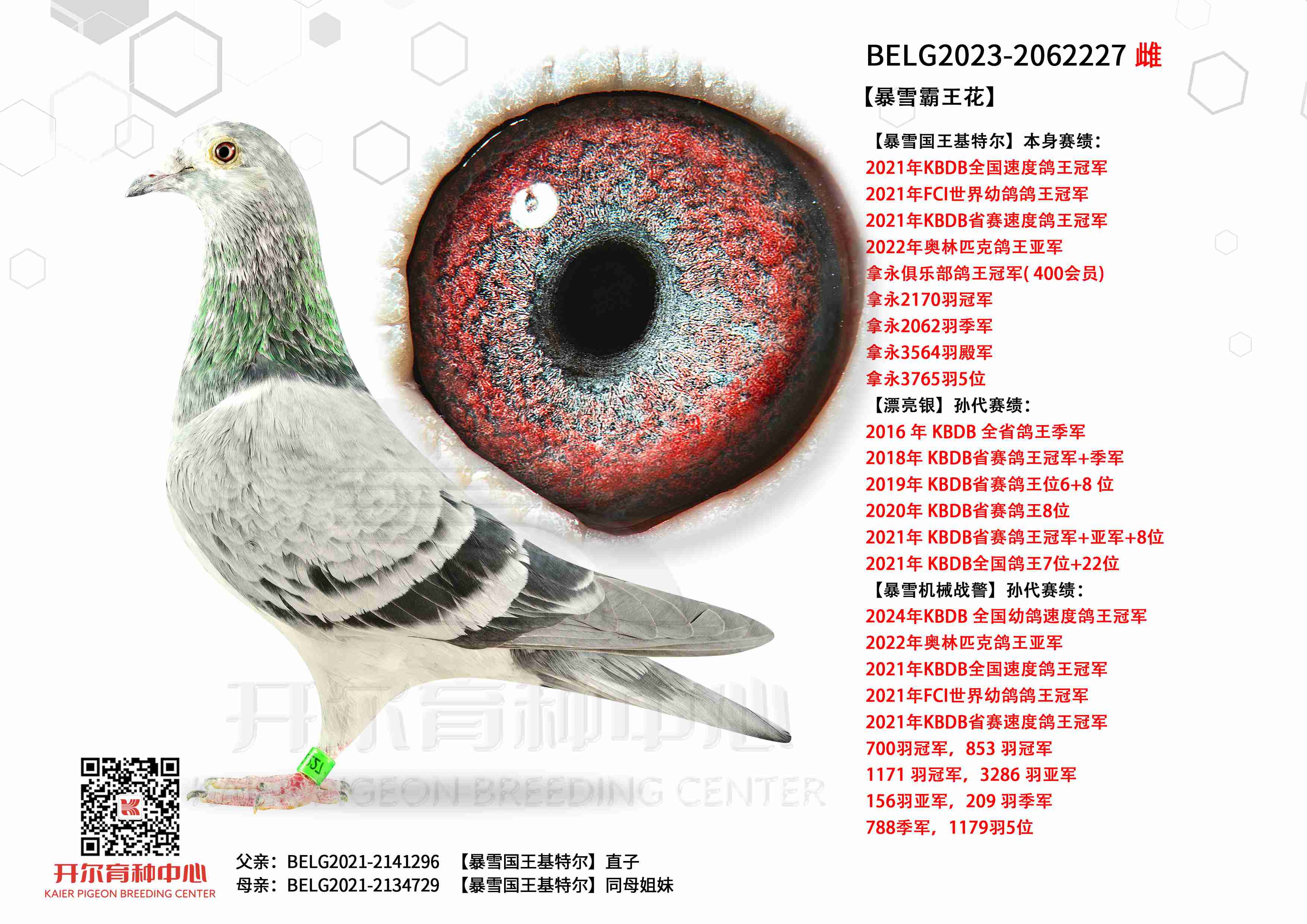 ����ѩ������������ѩֱ�ӡ���ѩͬĸ����