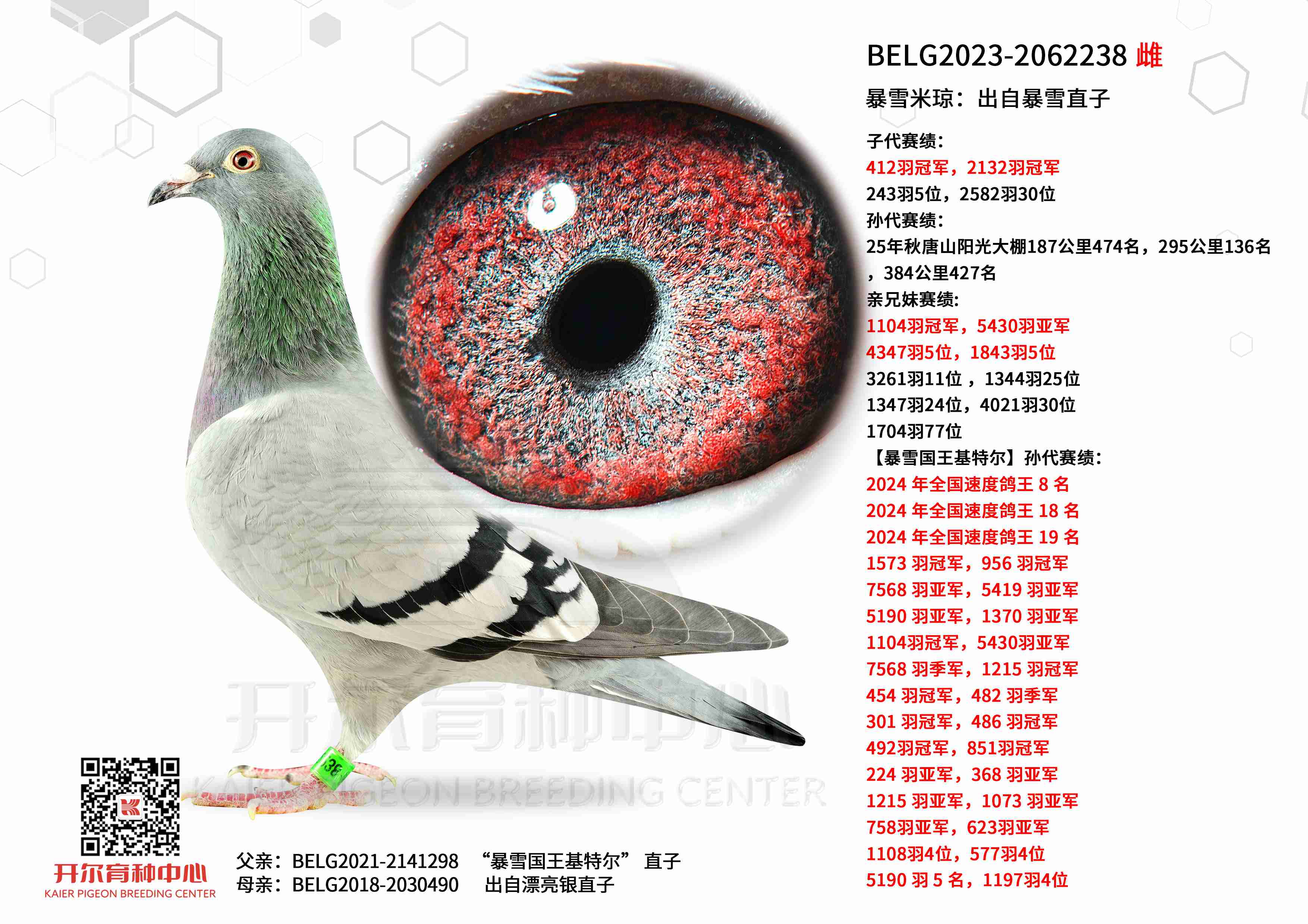 ��ѩ���������Ա�ѩֱ��