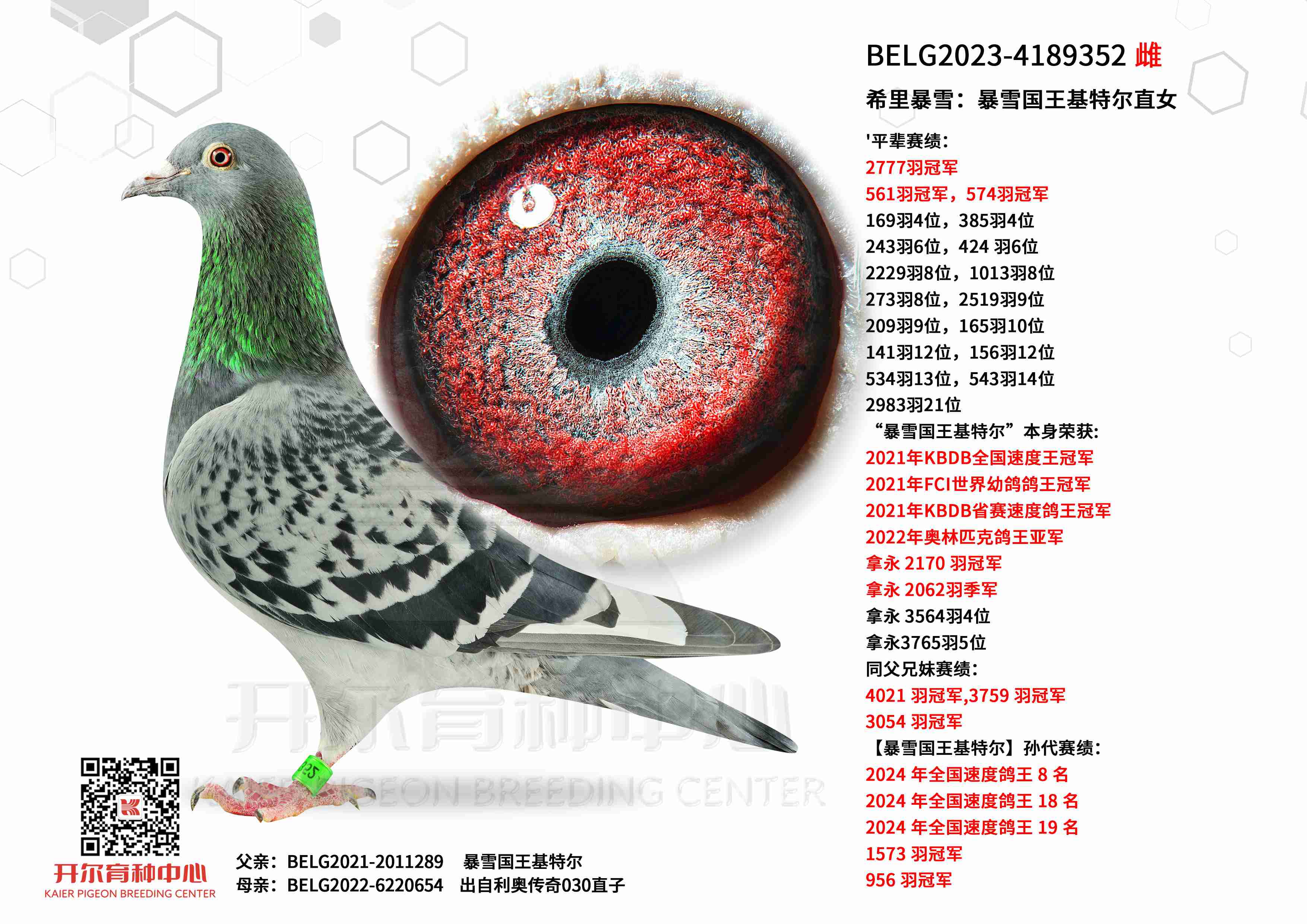 ϣ�ﱩѩ����ѩ�������ض�ֱŮ