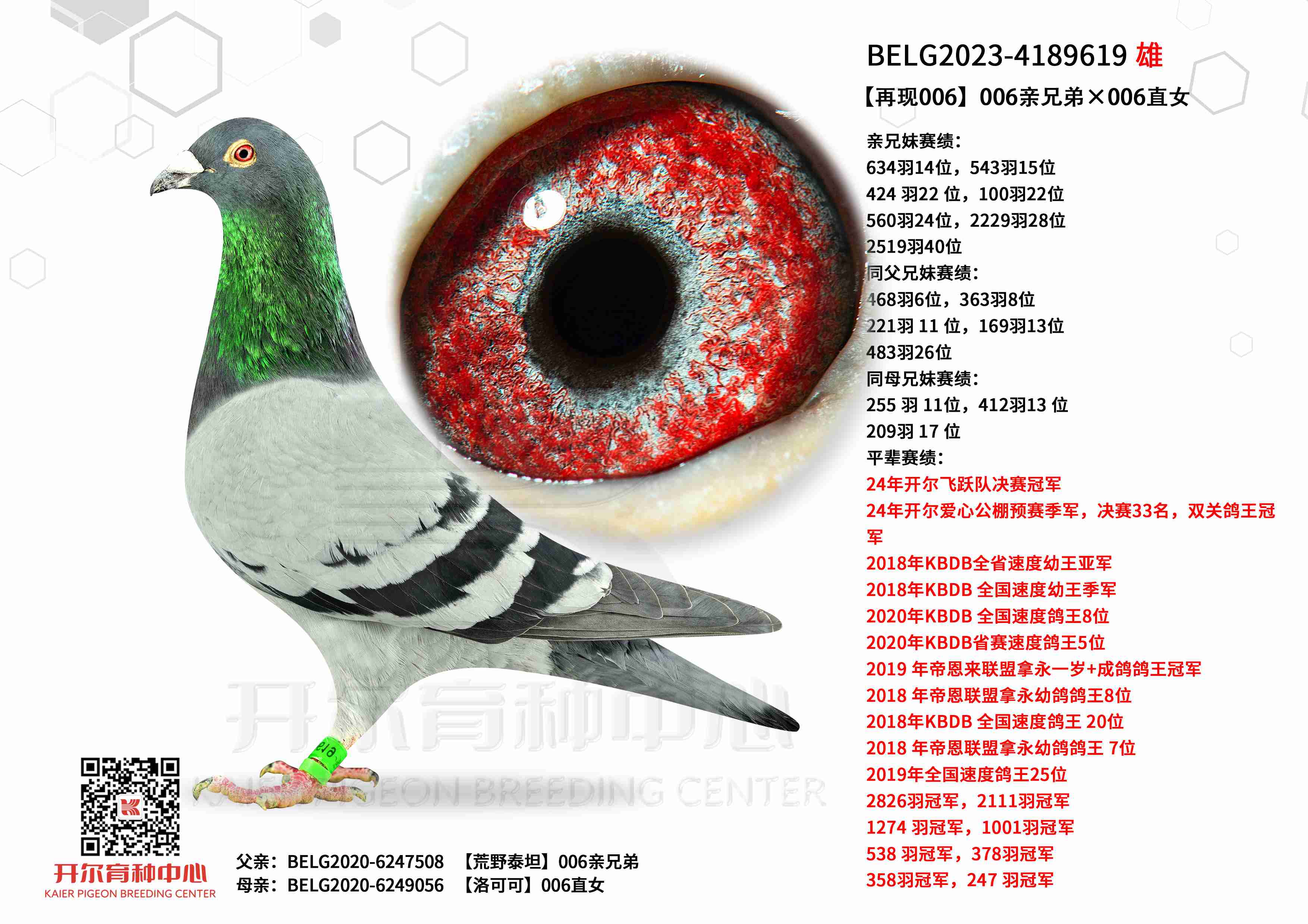 ������006��006���ֵܡ�006ֱŮ