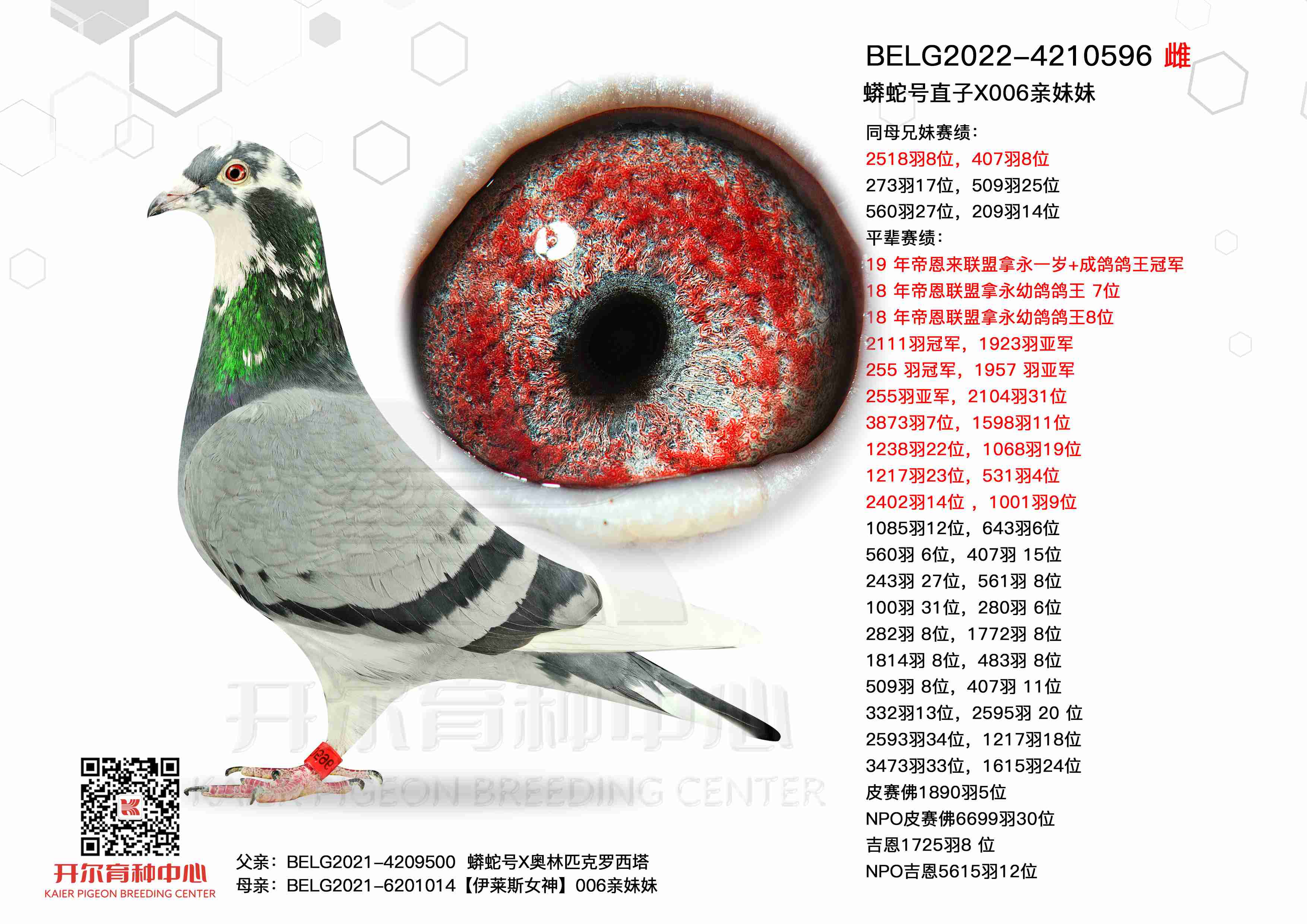 ���ߺ�ֱ��X006������