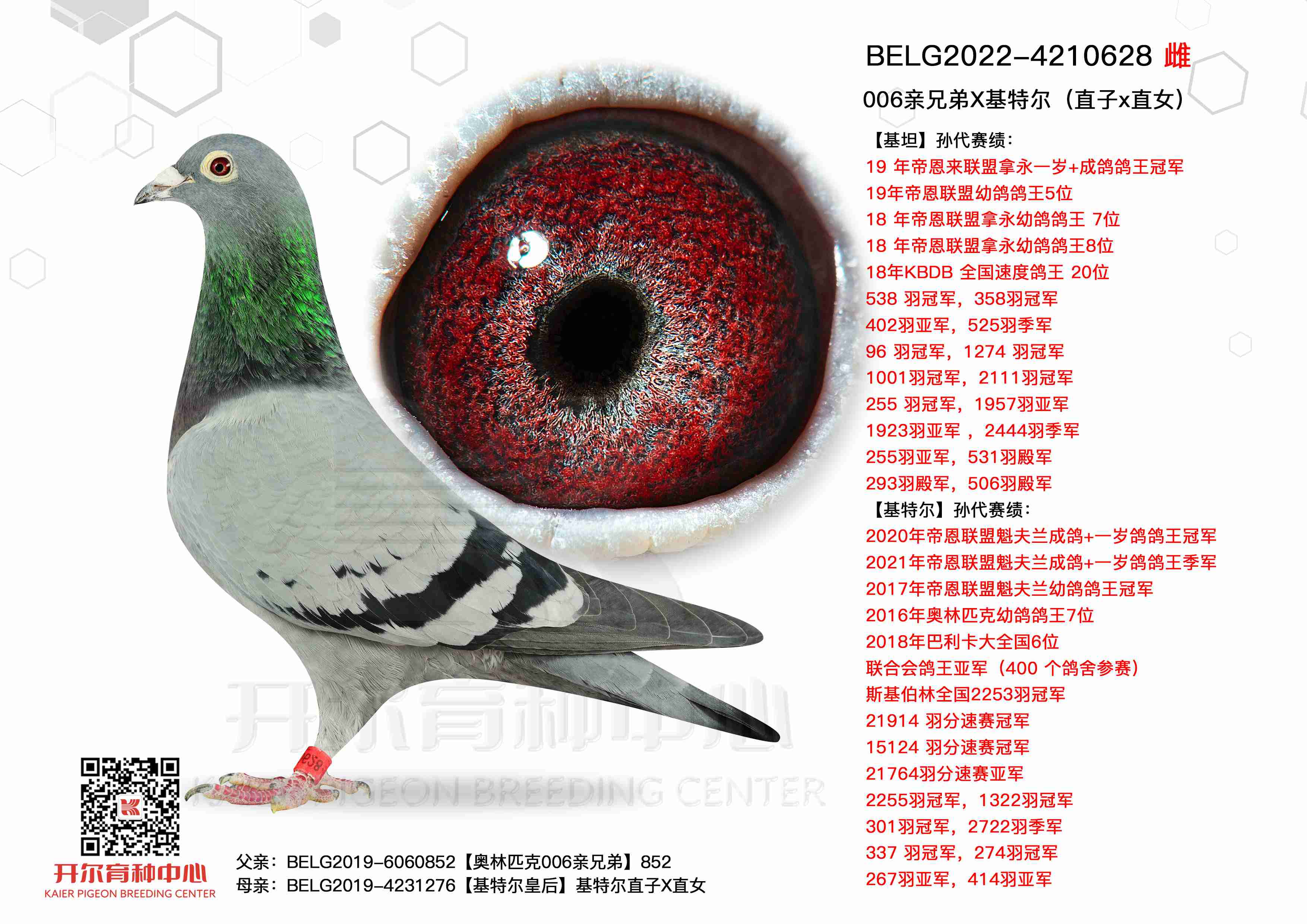 006���ֵ�X���ض���ֱ��xֱŮ��