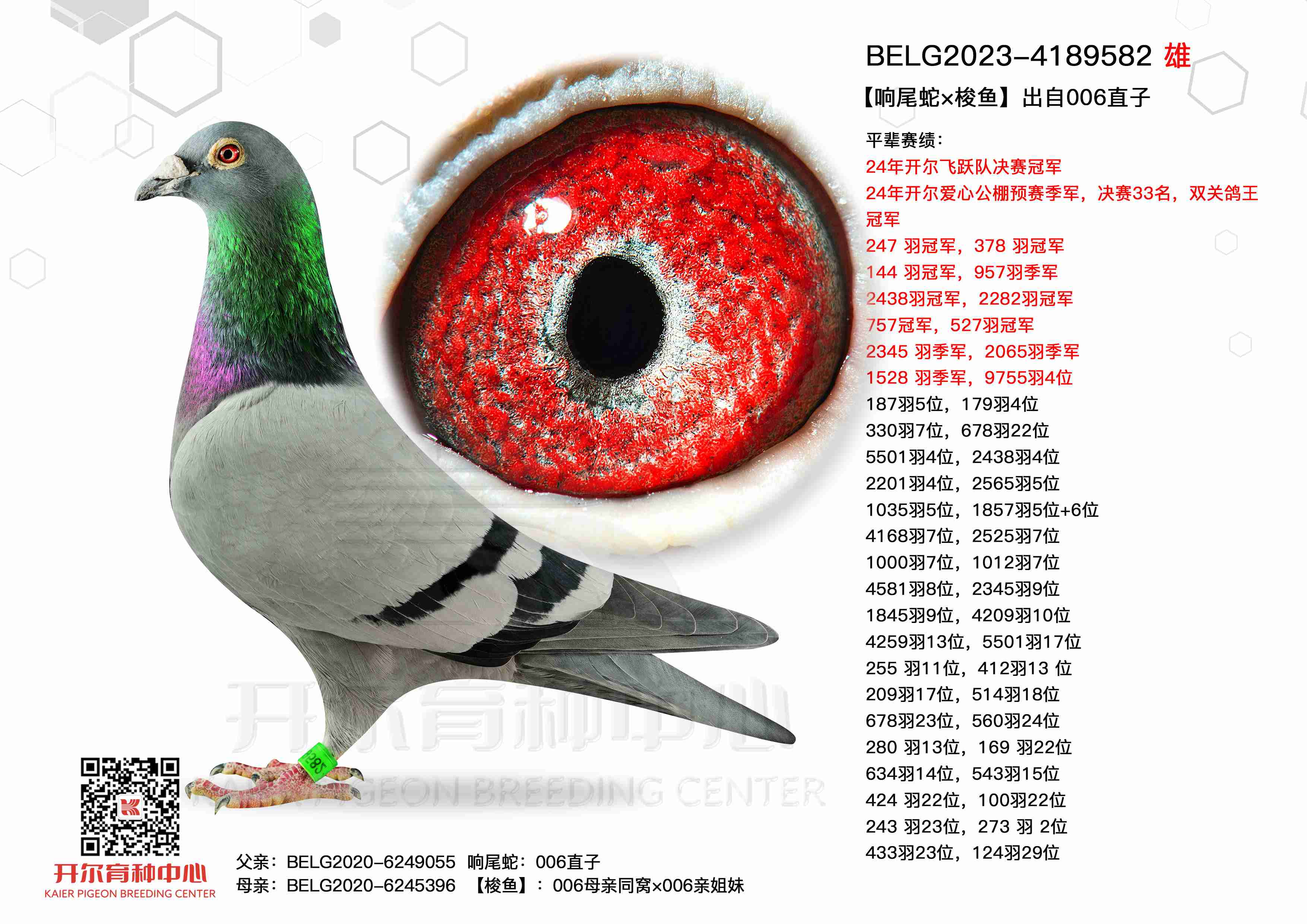 ����β�ߡ����㡿����006ֱ��