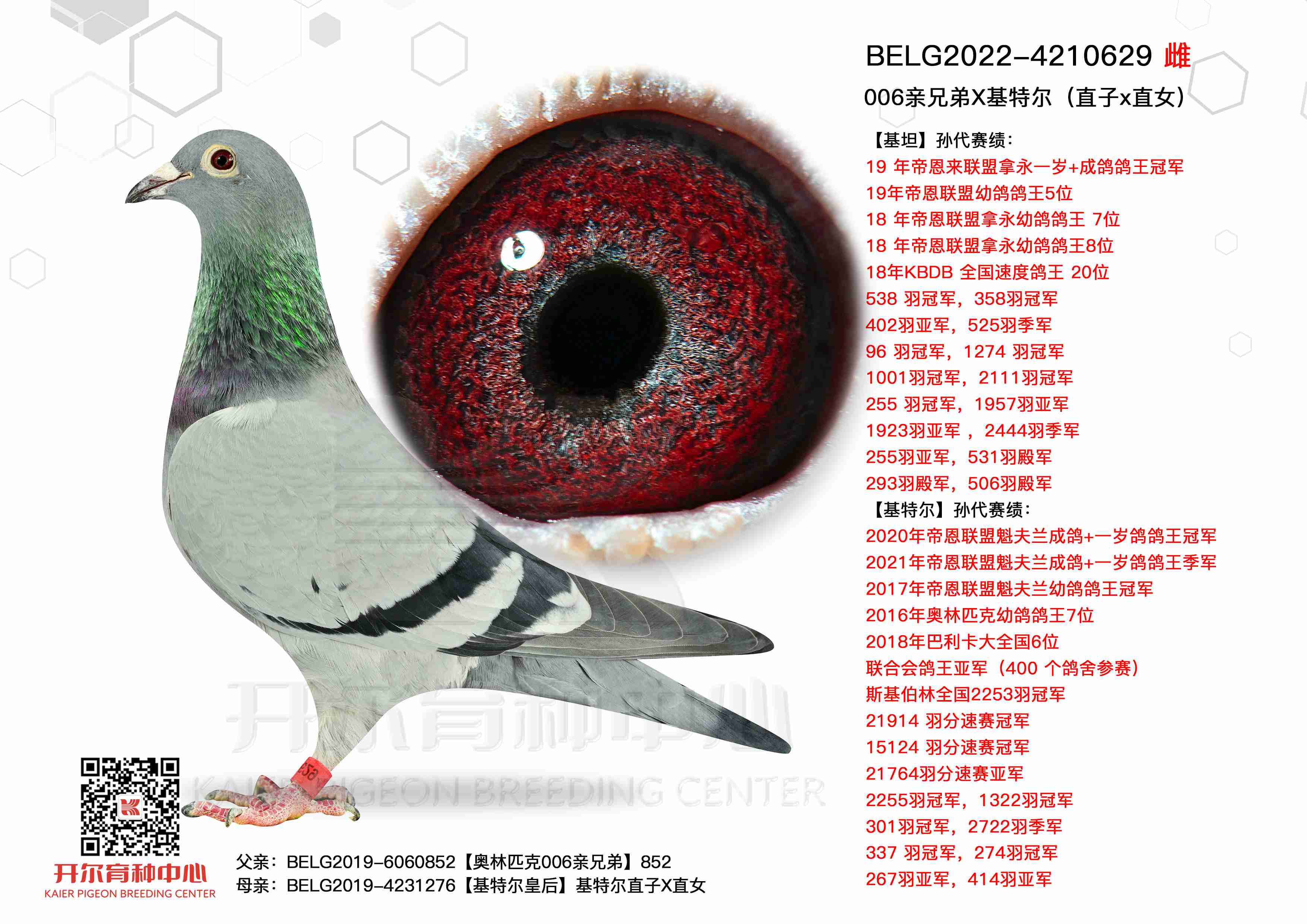 006���ֵ�X���ض���ֱ��xֱŮ��