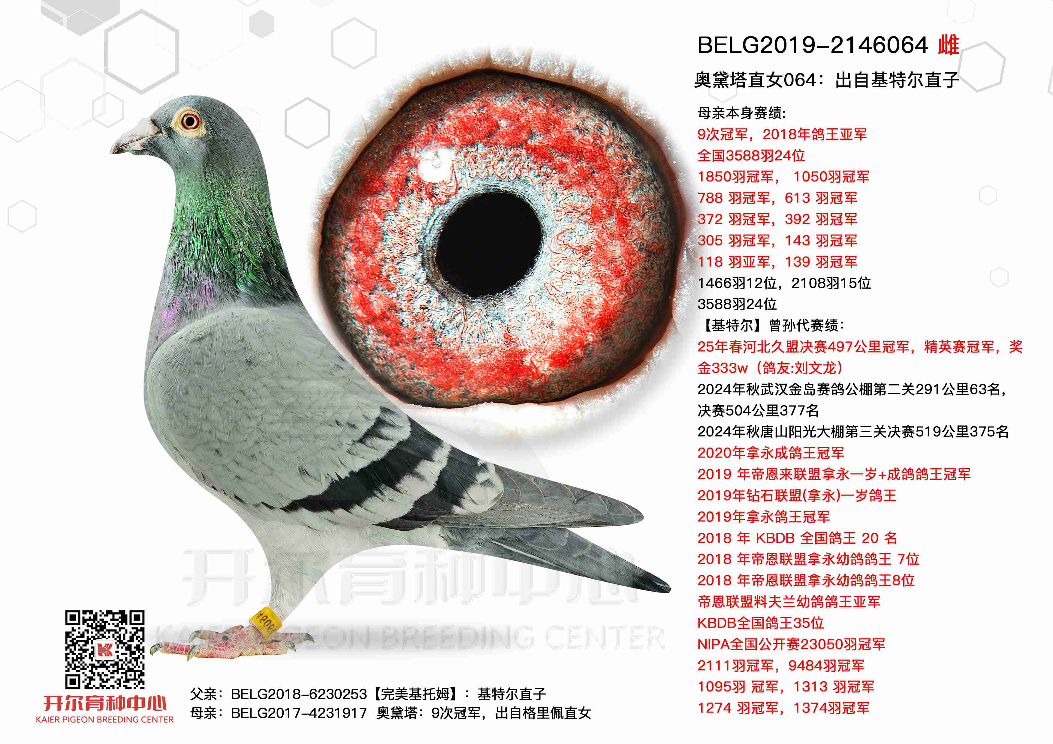 ������ֱŮ064�����Ի��ض�ֱ��