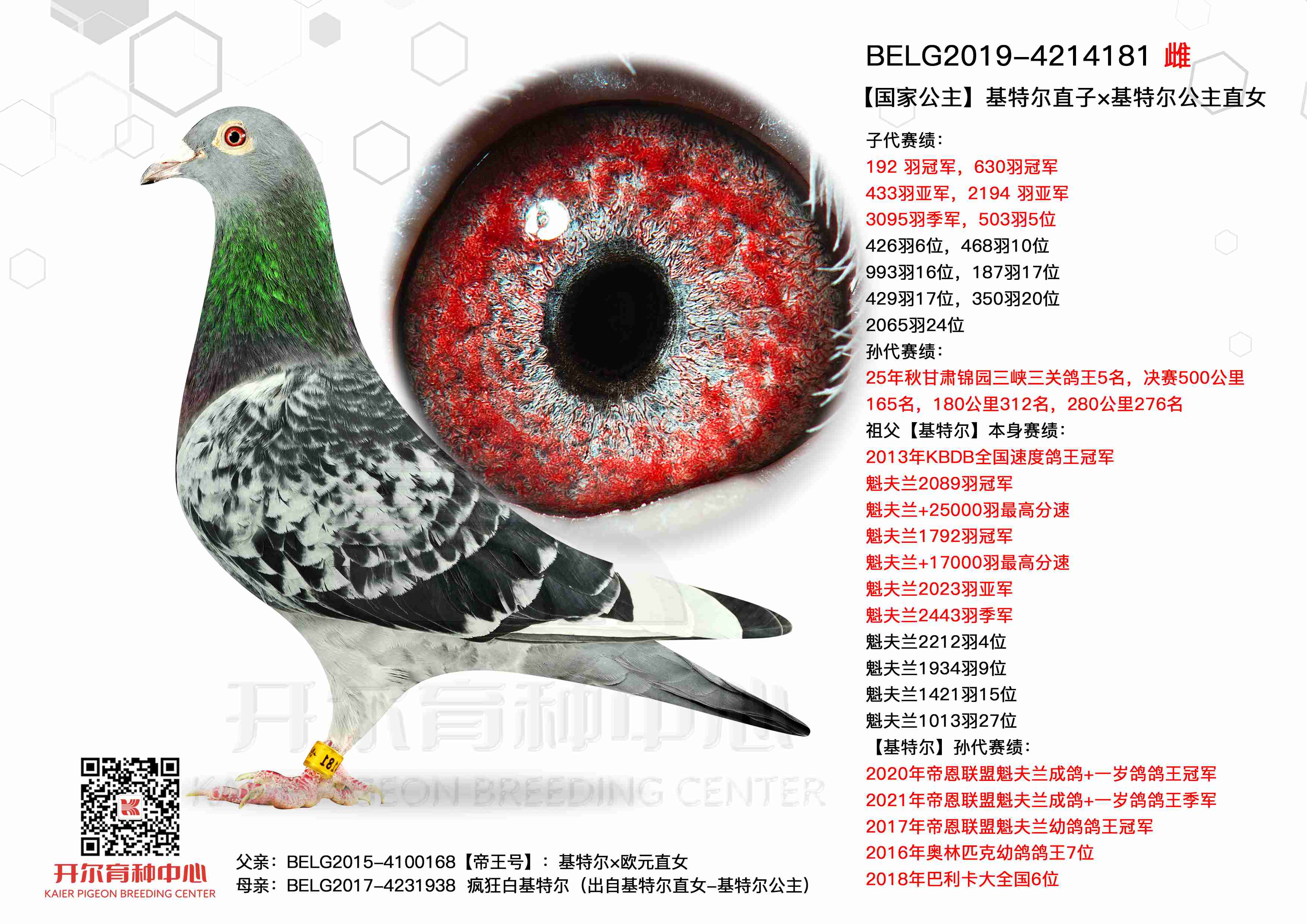 ���ҹ��������ض�ֱ�ӡ����ض�����ֱŮ