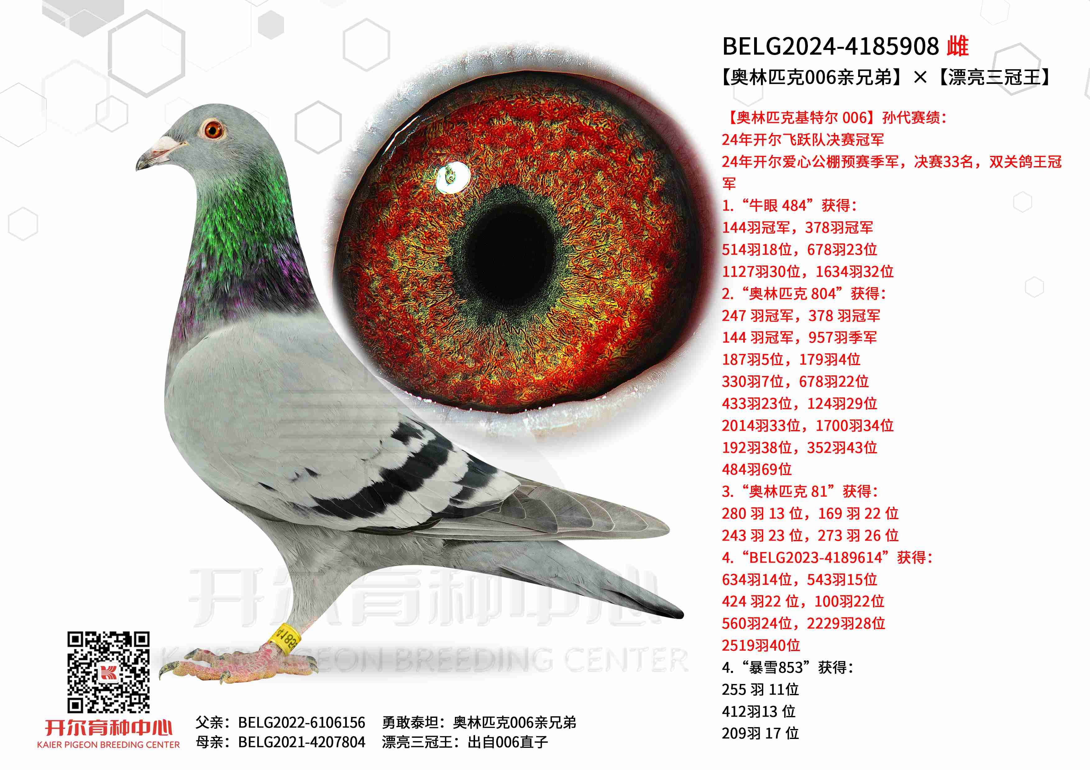 ������ƥ��006���ֵܡ�����Ư����������