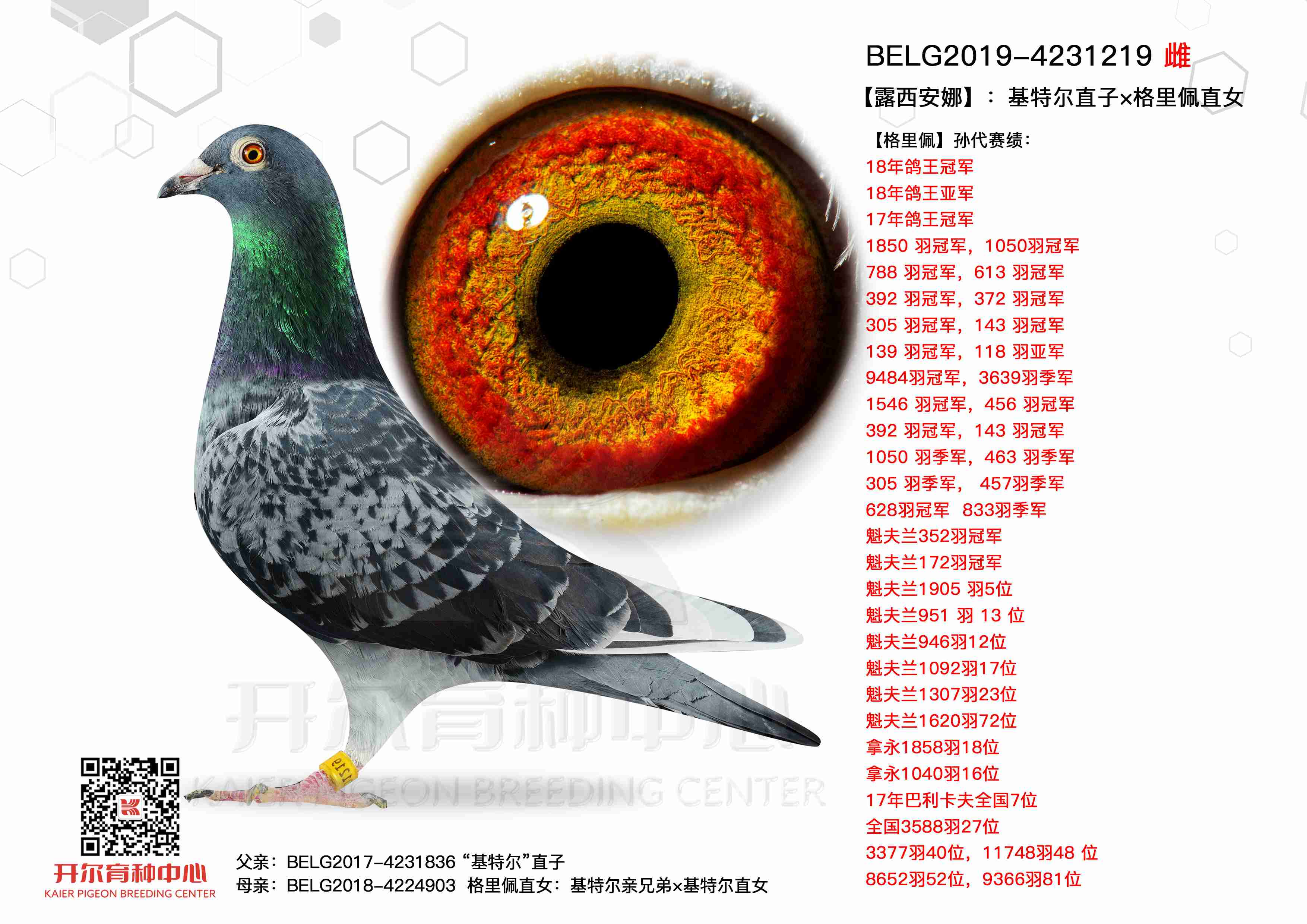 ��¶�����ȡ������ض�ֱ�ӡ�������ֱŮ