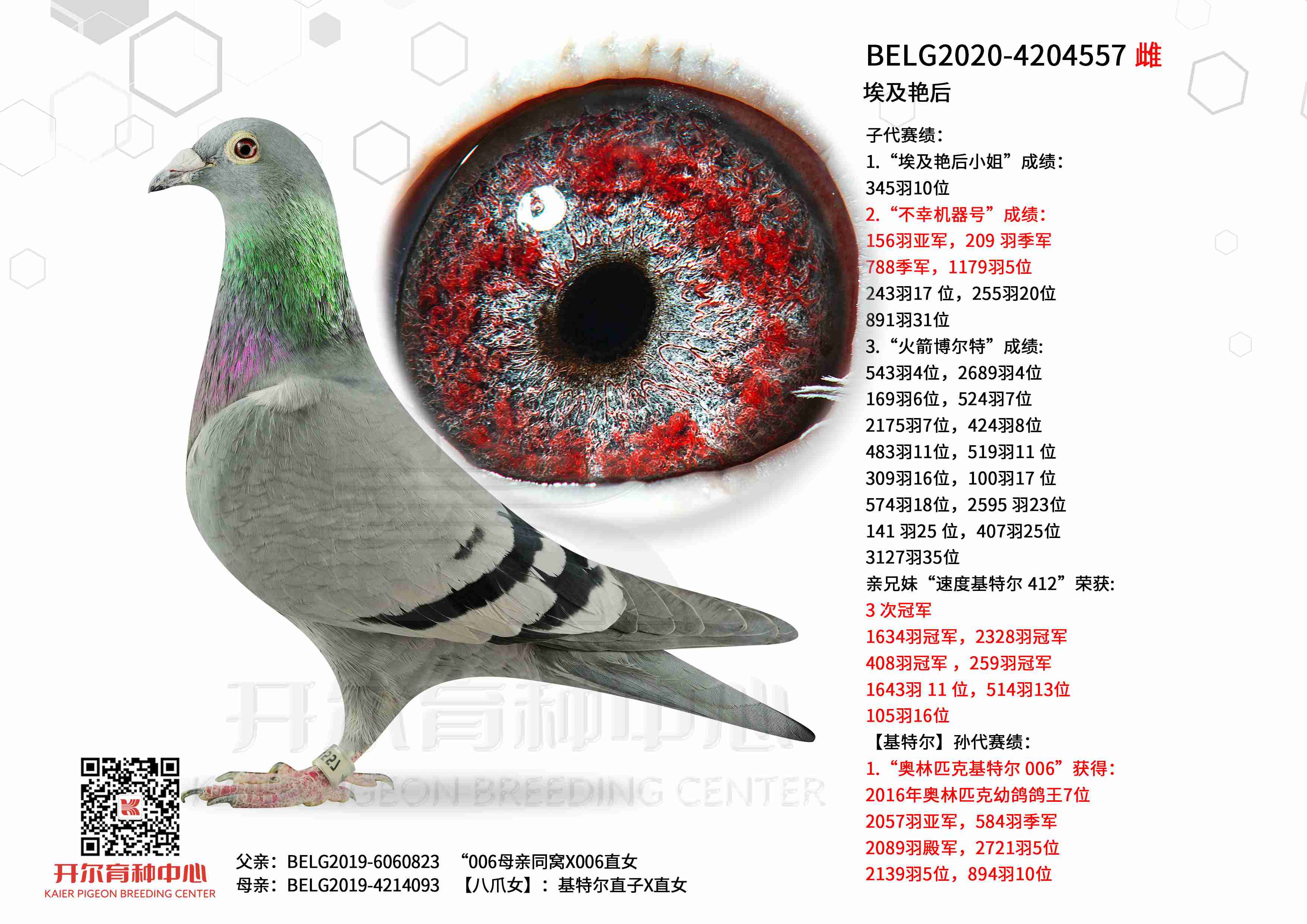 �����޺�