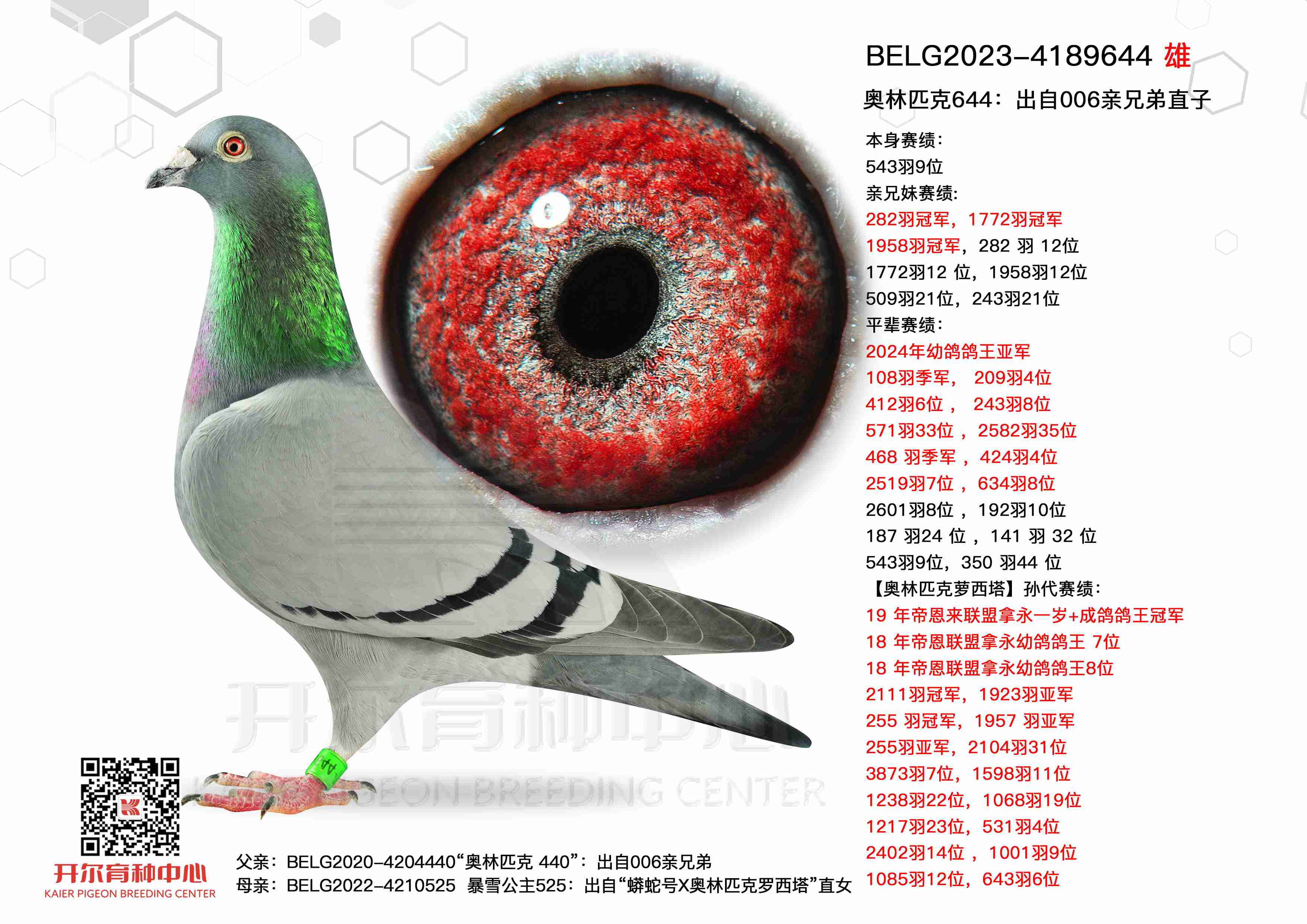 ����ƥ��644������006���ֵ�ֱ��