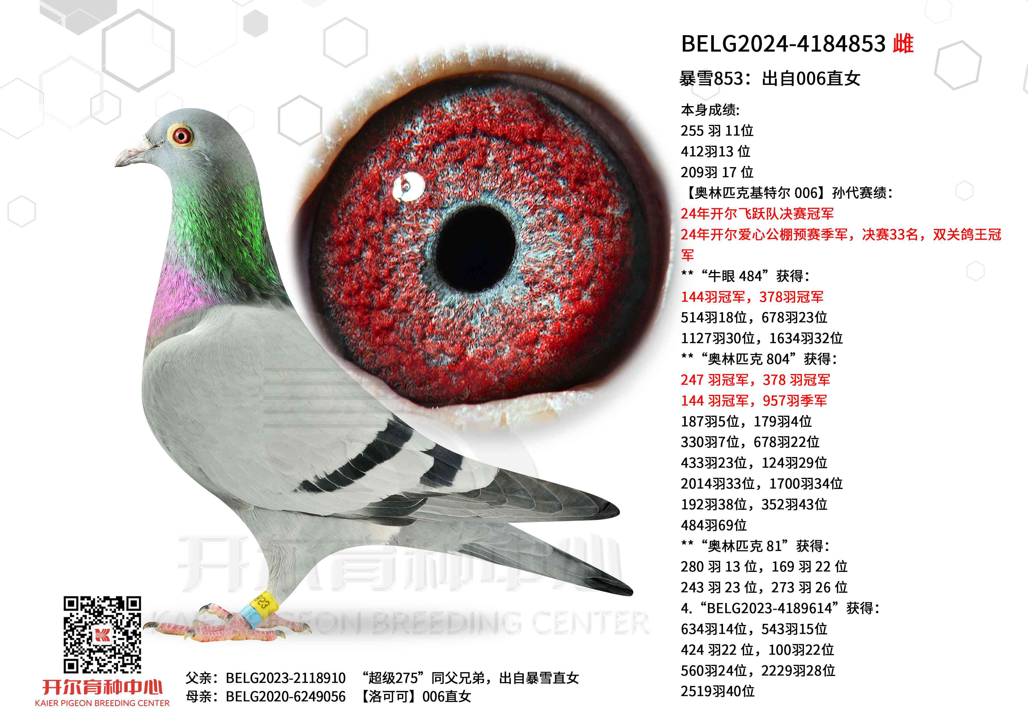 ��ѩ853������006ֱŮ