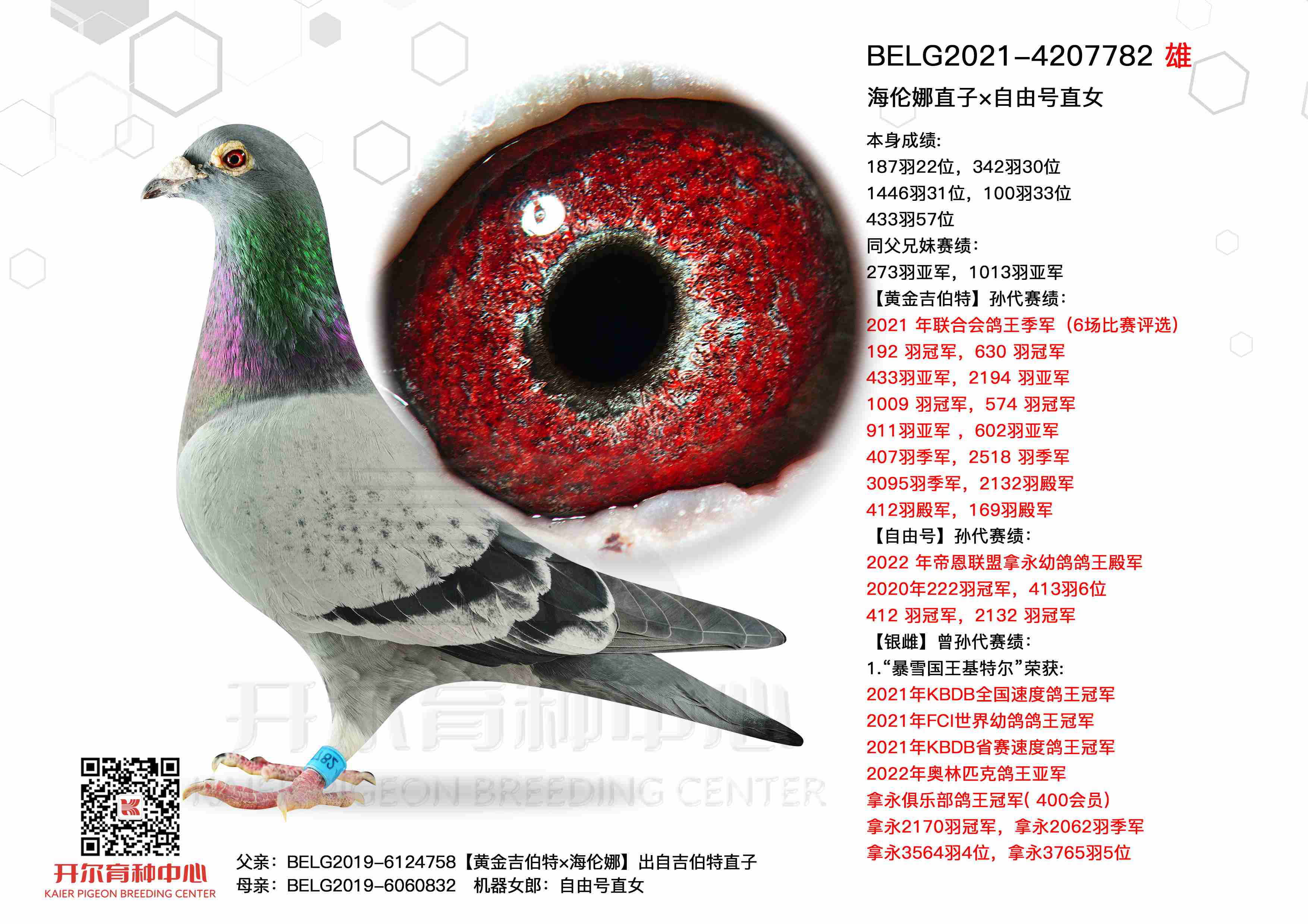 ������ֱ�ӡ����ɺ�ֱŮ