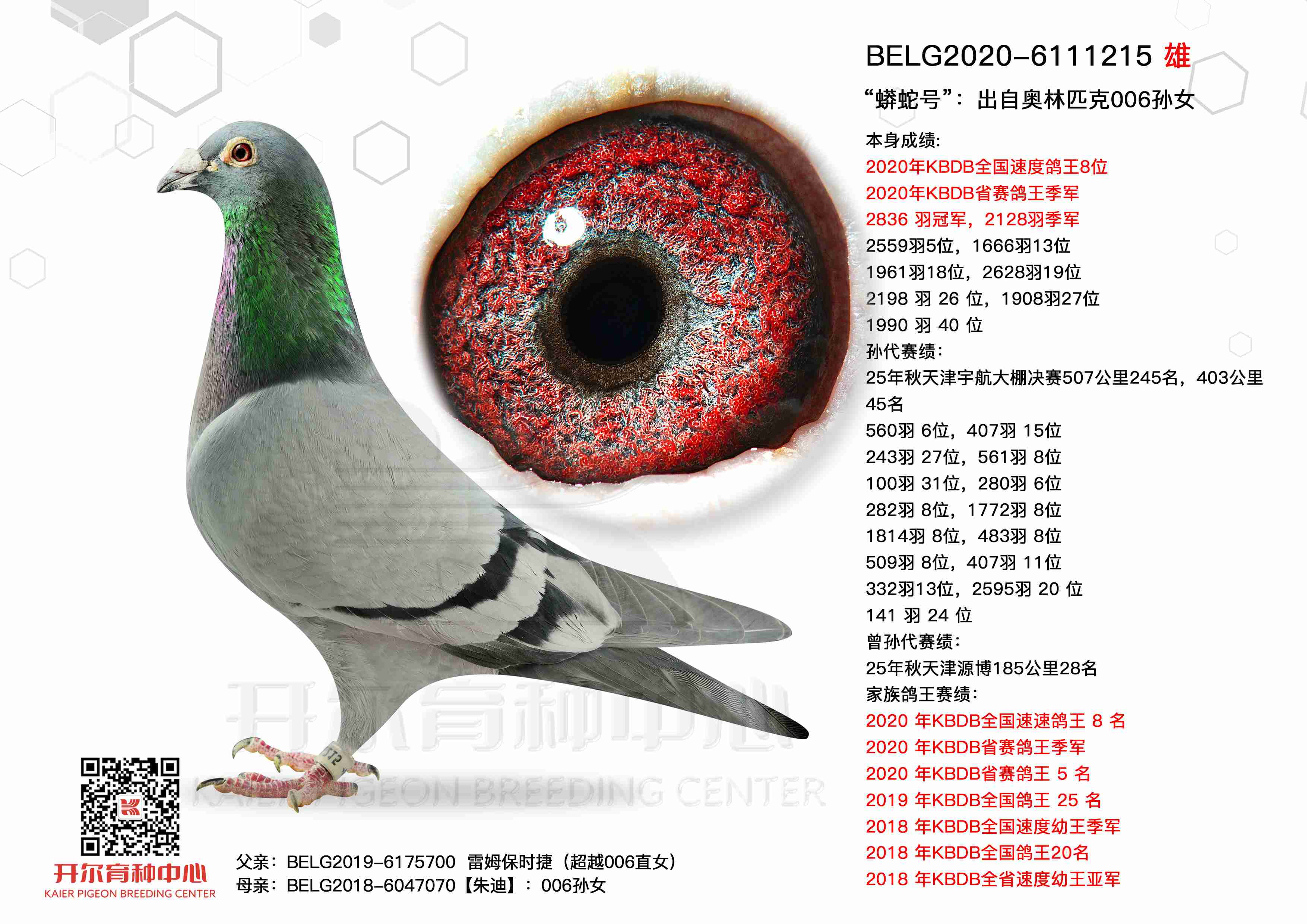 ���ߺţ����԰���ƥ��006��Ů