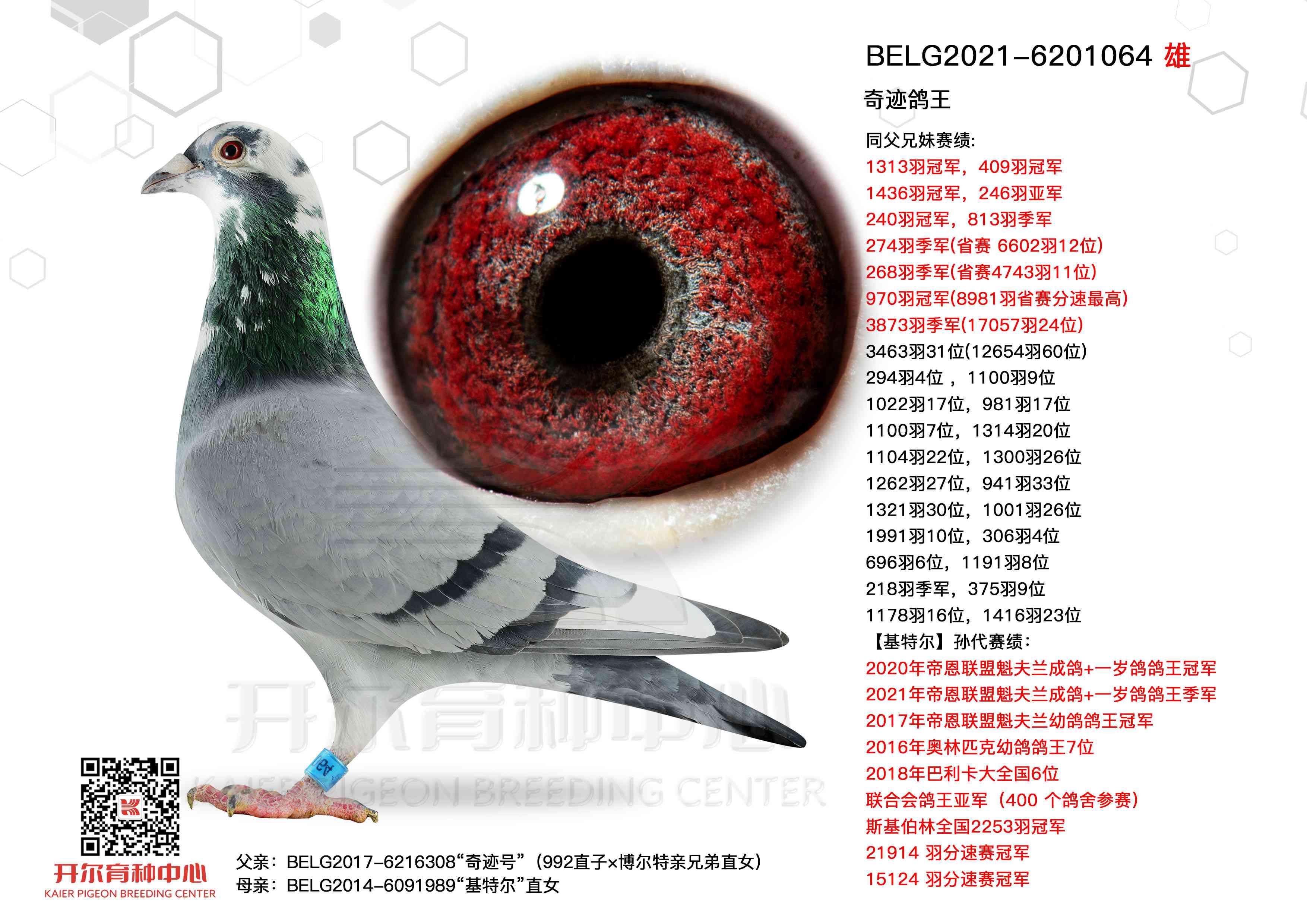 �漣�������漣�š����ض�ֱŮ