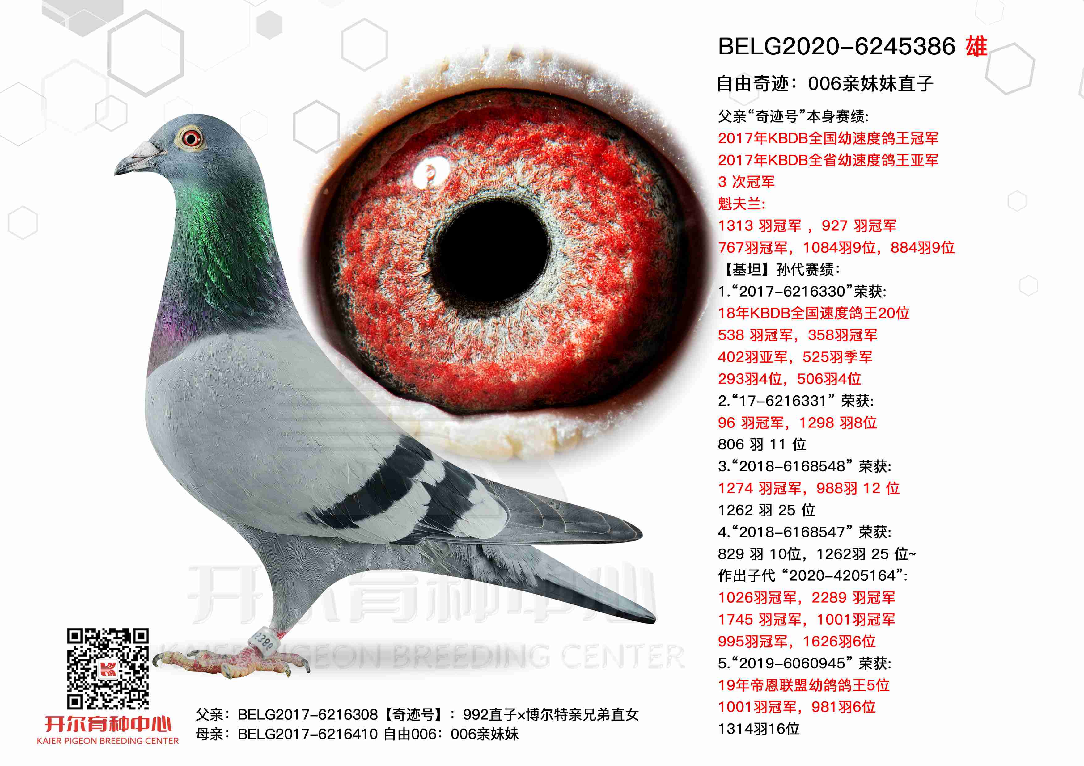 �����漣��006������ֱ��