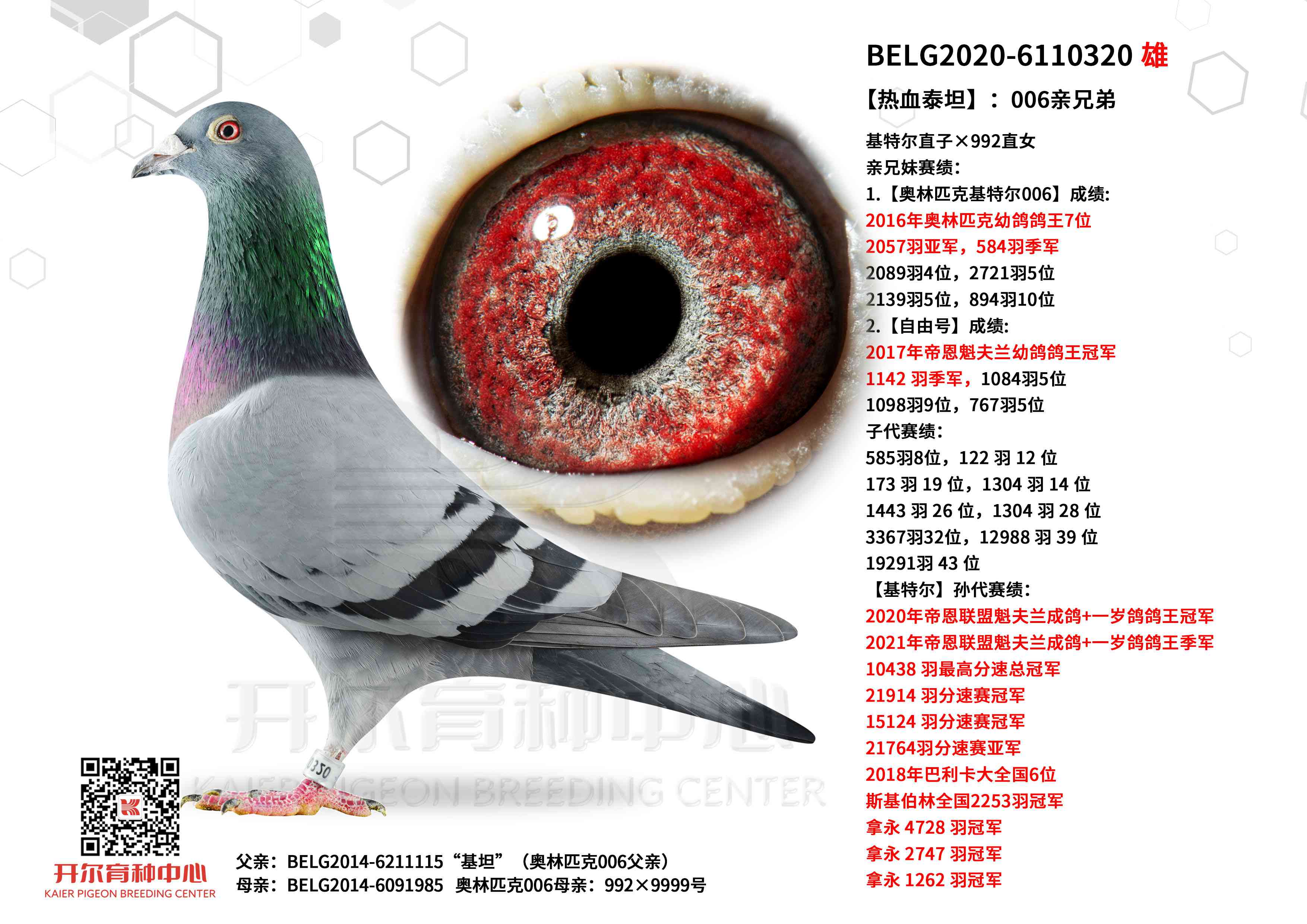 ����Ѫ̩̹����006���ֵ�