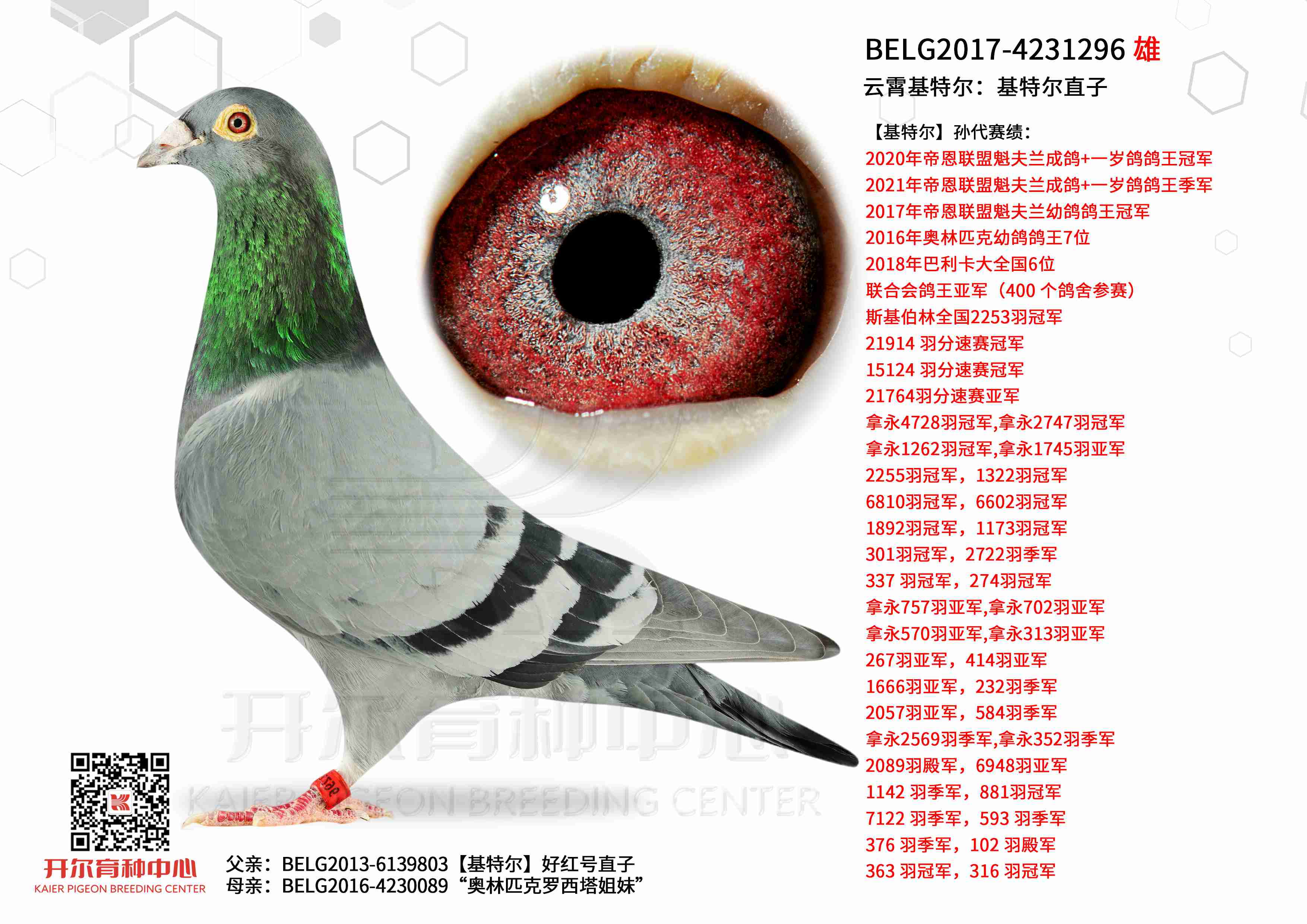 �������ض������ض�ֱ��