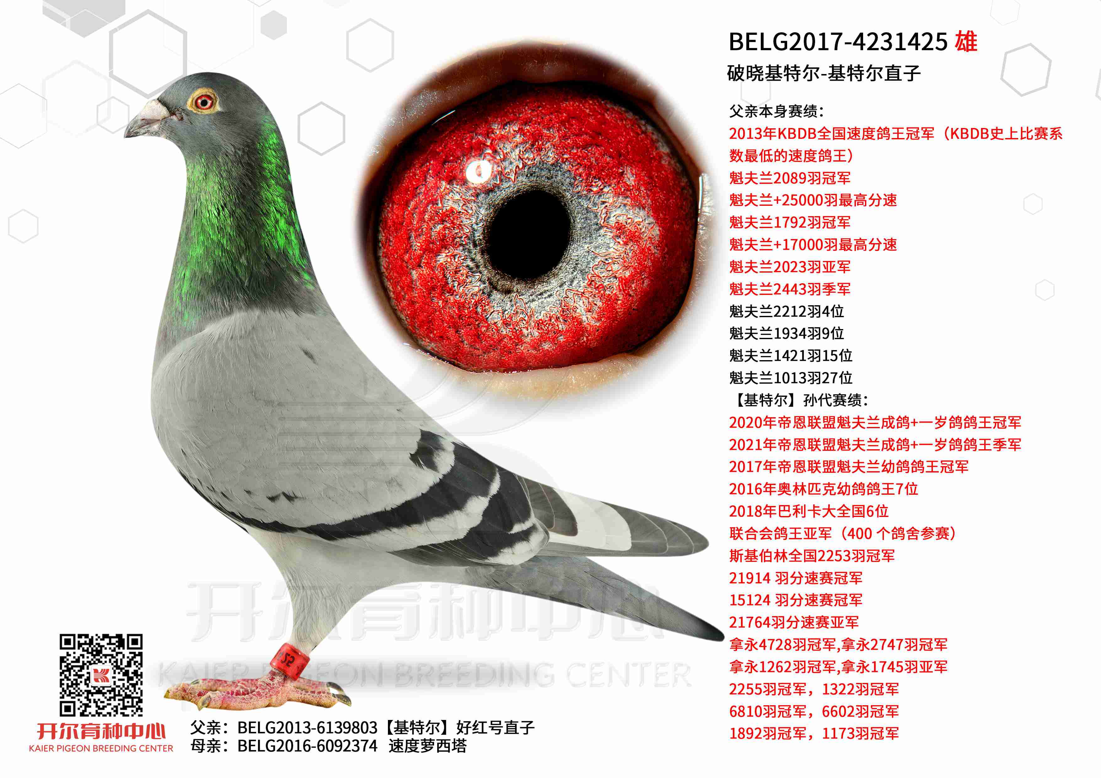 �������ض�-���ض�ֱ��