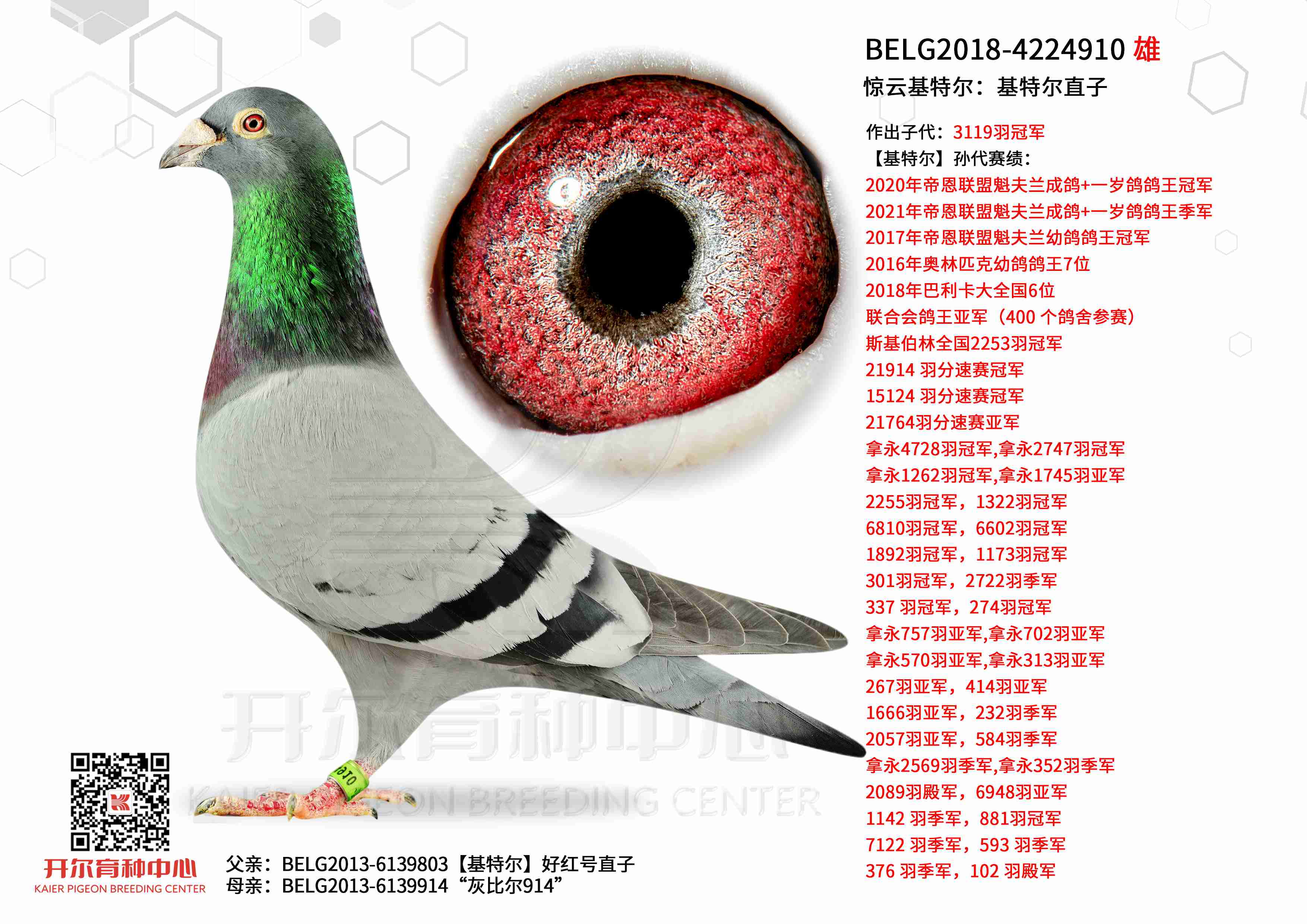 ���ƻ��ض������ض�ֱ��